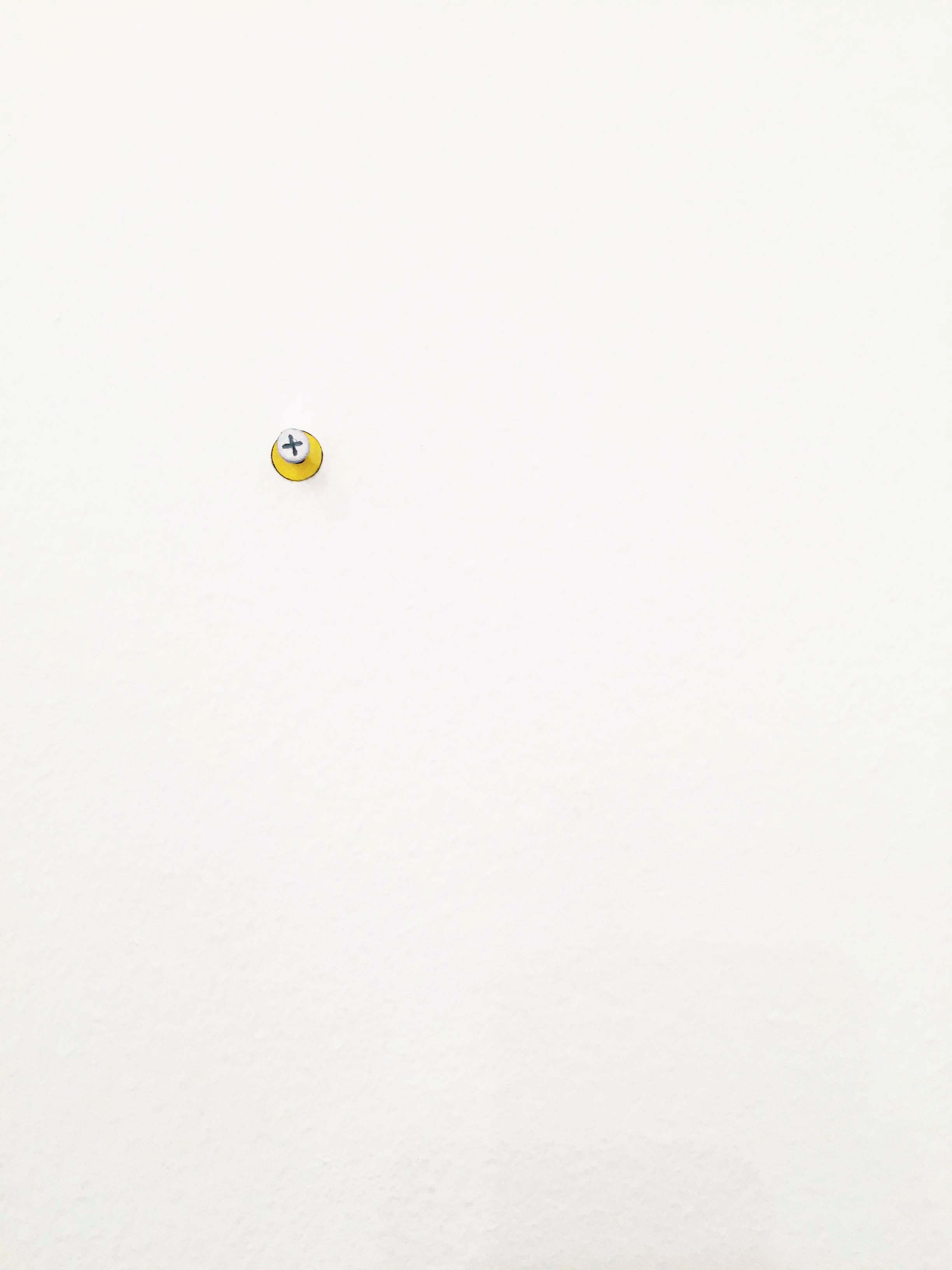Screw with plug.jpg
