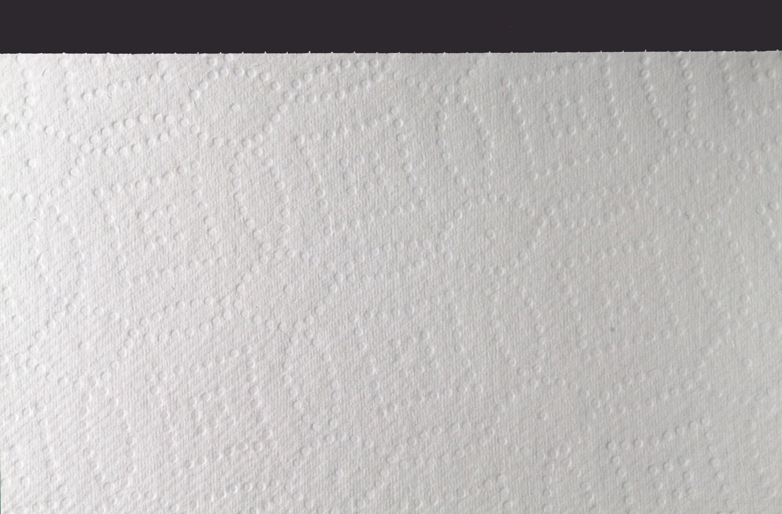 Untitled (Seventh Generation), 2021 - detail