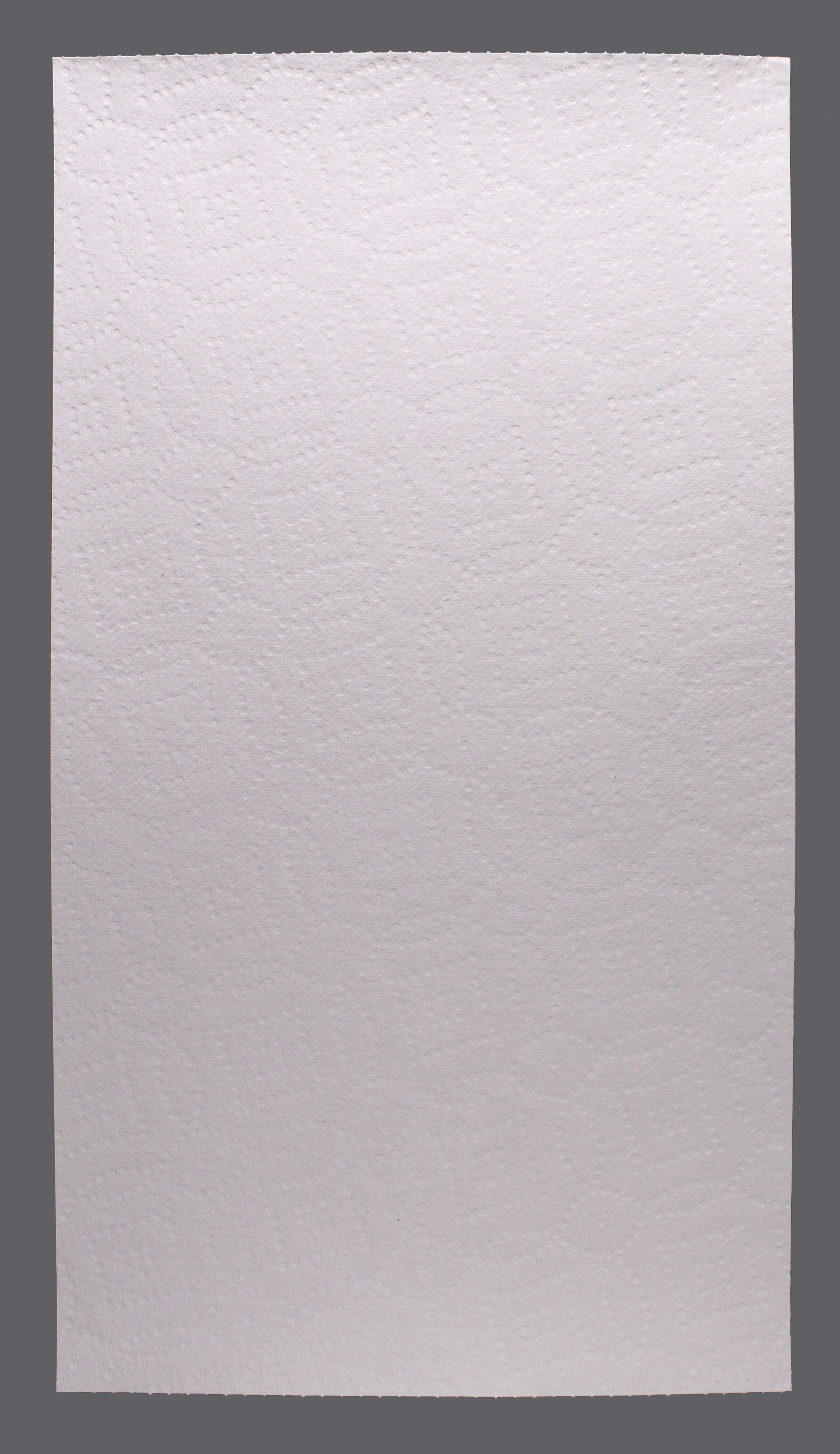 Untitled (Seventh Generation), 2021