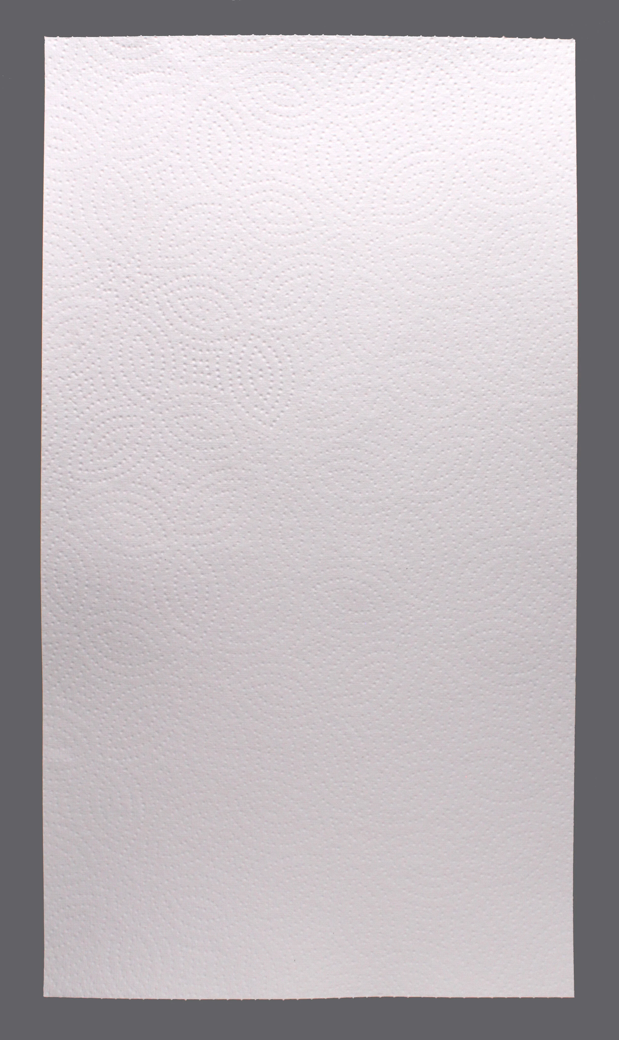 Untitled (Terrifik Towel) 2021