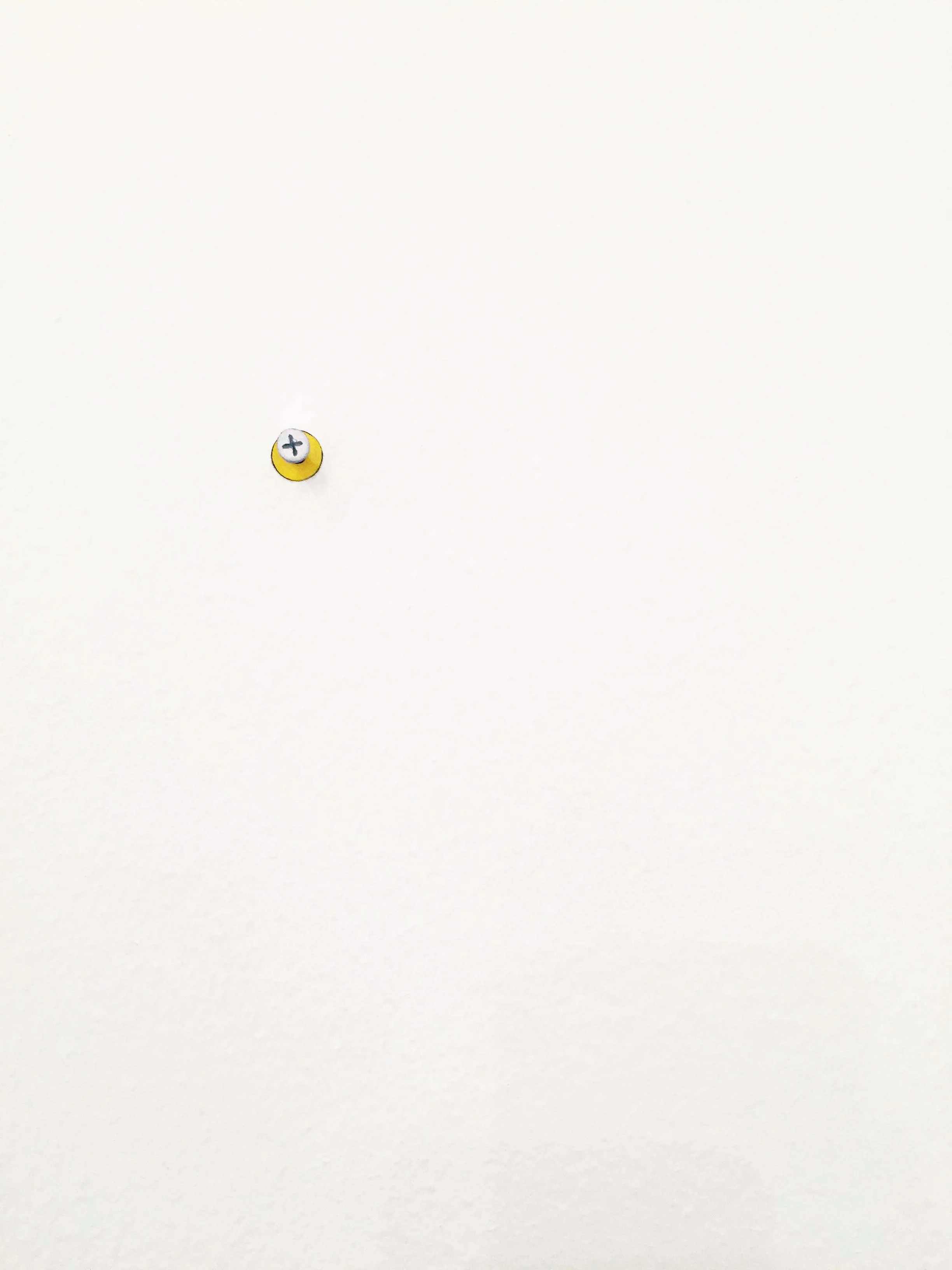 Screw with plug.jpg