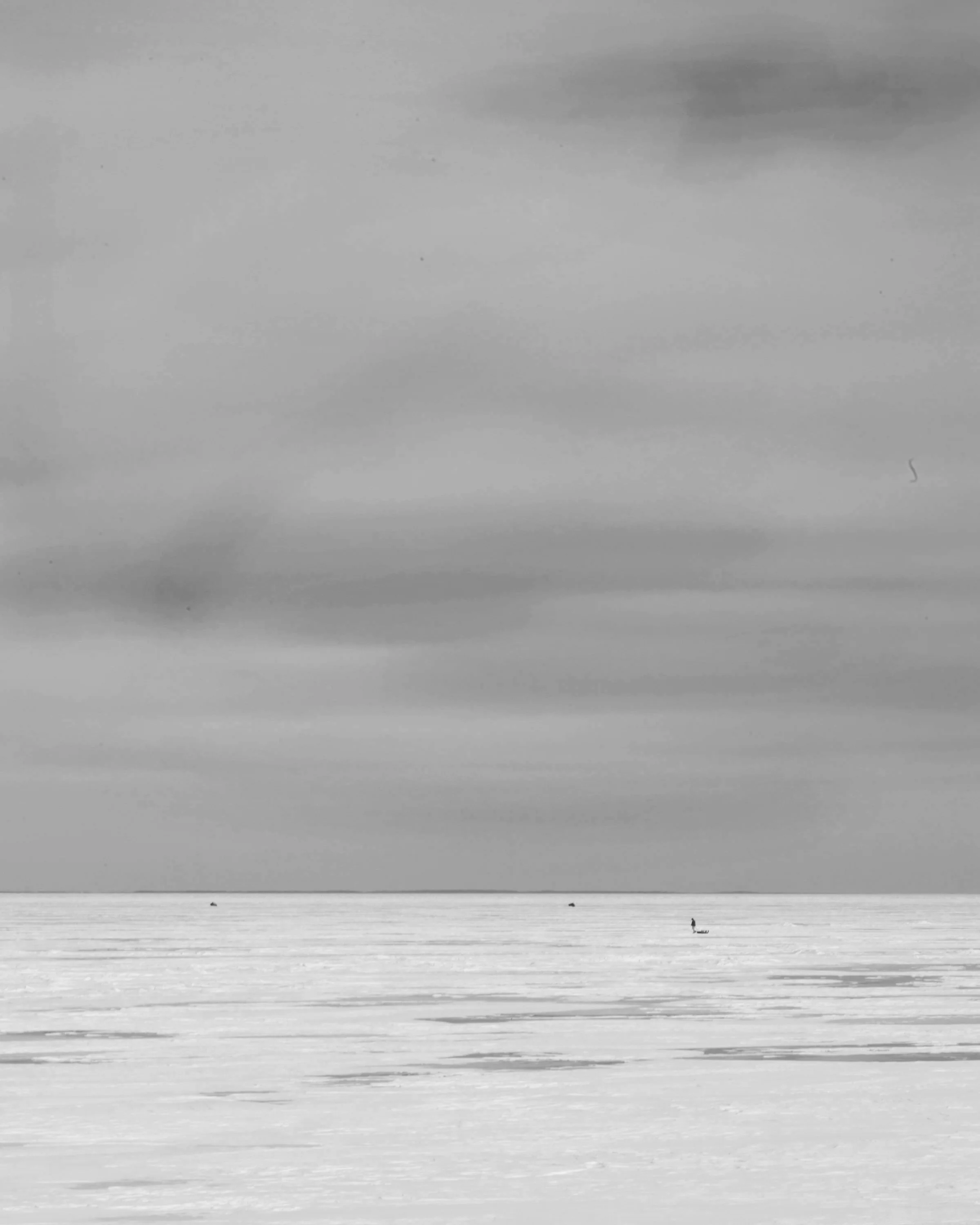 The Lonesome Crowded North