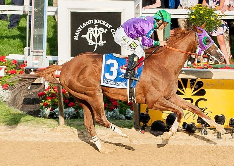 California Chrome Preakness finish