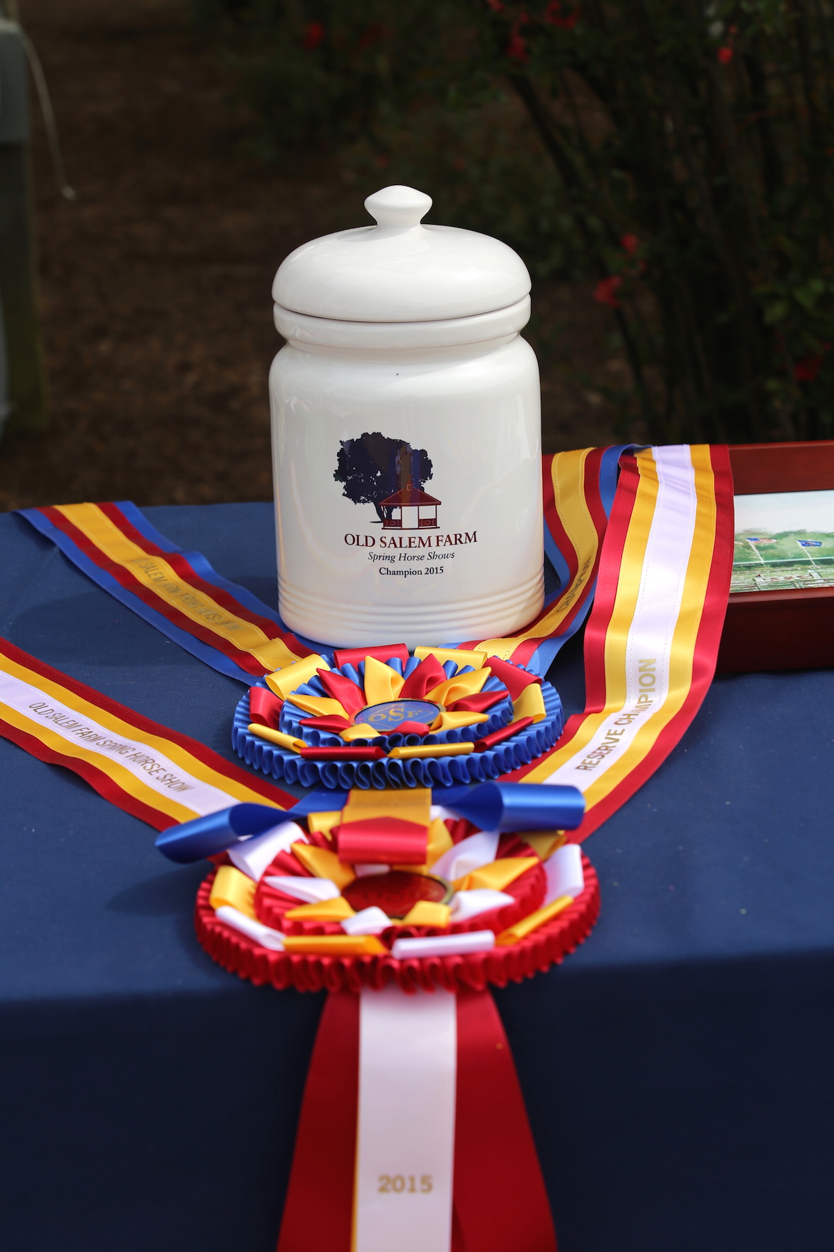   Awards awaiting presentation at Old&nbsp;  Salem&nbsp;Farm. Photo by&nbsp;Lindsay Brock for Jennifer Wood Media, Inc.  