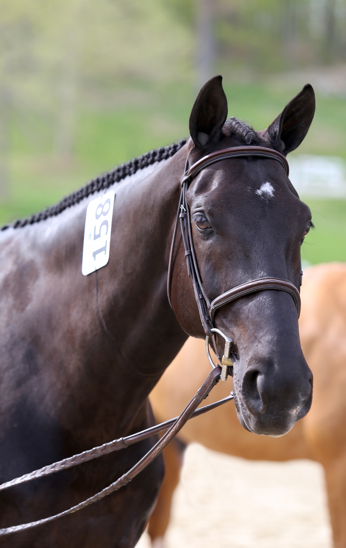   An eager competitor checks out the competition.&nbsp;Lindsay Brock for Jennifer Wood Media, Inc.  