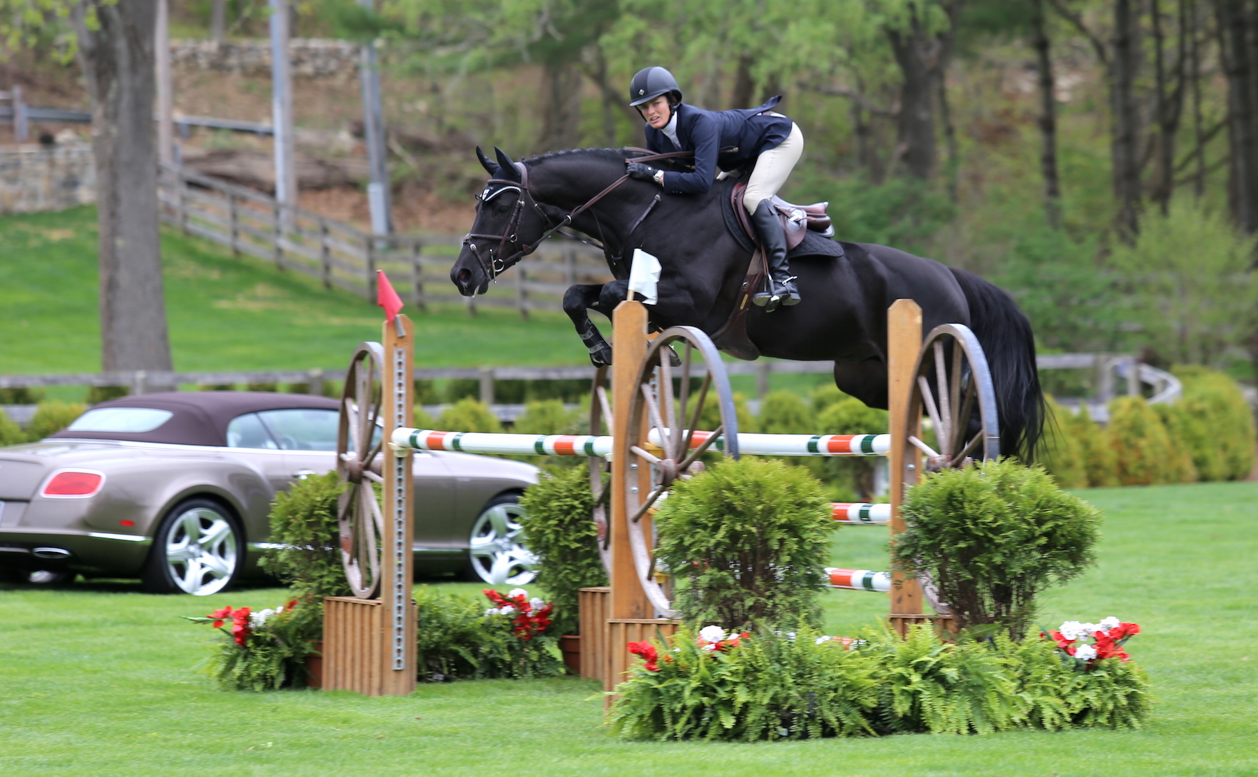   Competition kicked off at The Old&nbsp;  Salem  &nbsp;Farm Spring Shows this week.&nbsp;Photo by Lindsay Brock for Jennifer Wood Media, Inc.  