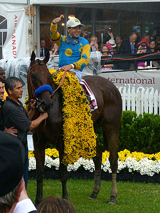 American Pharoah and Victor Espinoza take the Preakness. The Pharoah hangs up his racing shoes after the Breeders’ Cup this Saturday.