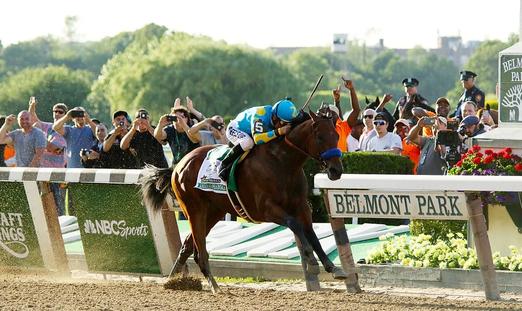 American Pharoah, only the 12th horse to win the Triple Crown with his victory here at the Belmont Stakes, is the subject of Joe Drape’s new book. Photograph by Mike Lizzi.