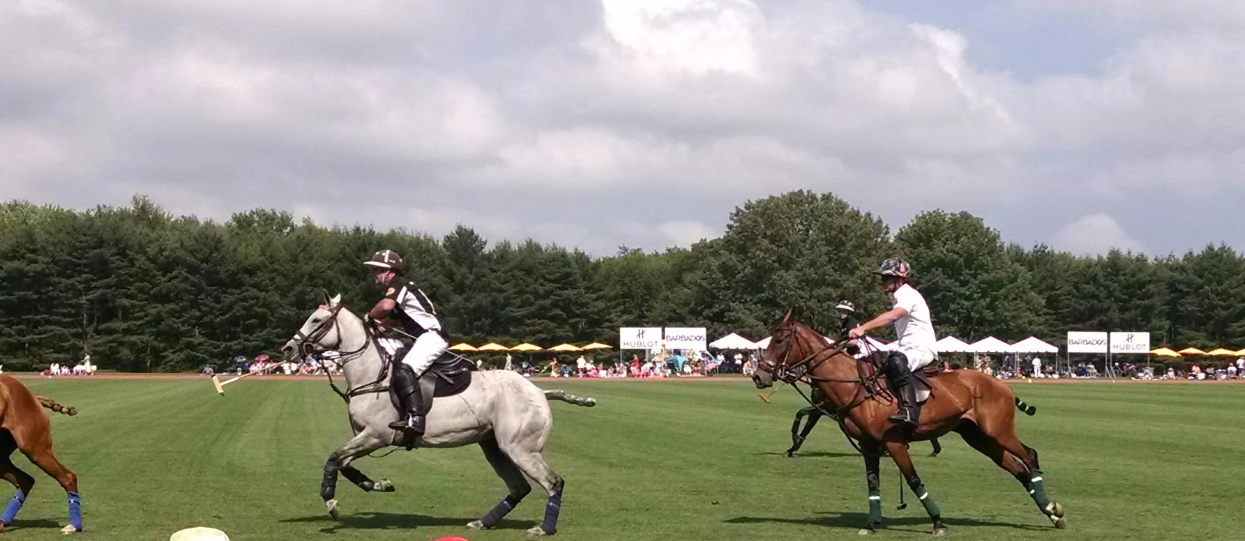 polo action shot 2.jpg