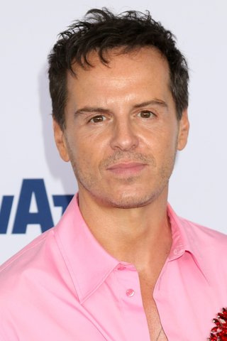 A desperate hope? Andrew Scott in 'Sea Wall'