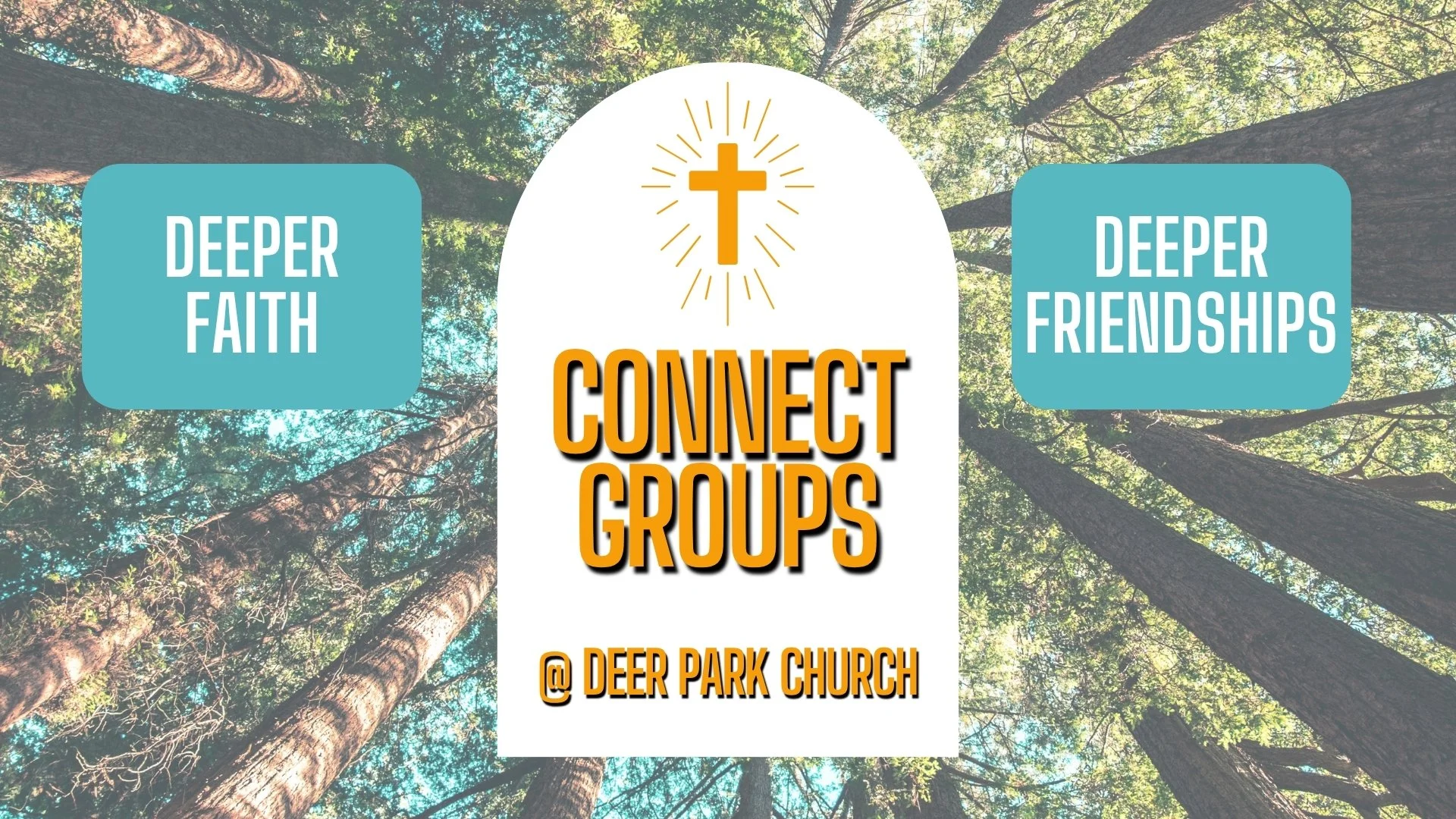 Connect Groups — Deer Park Church