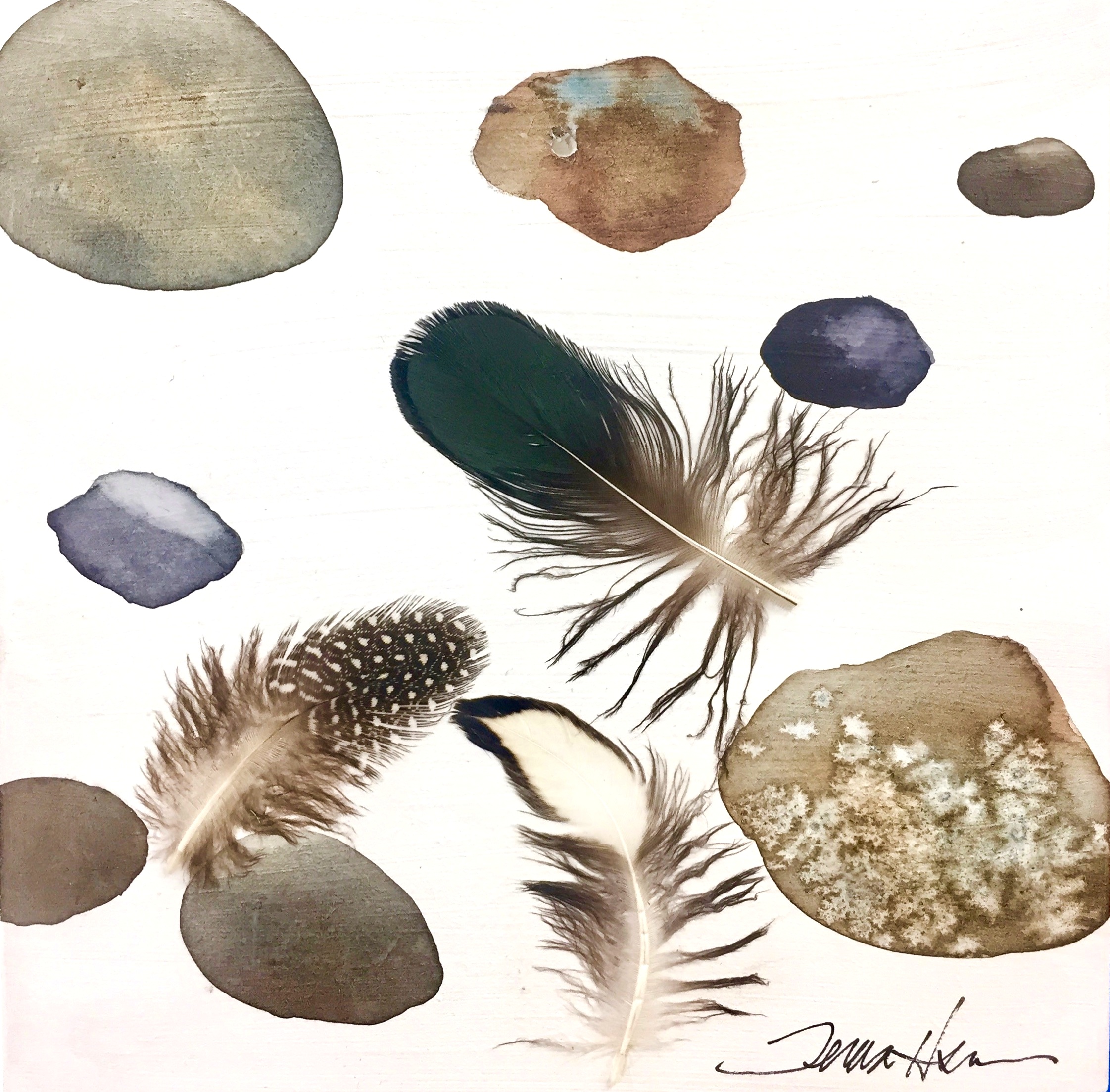 Rocks and Feathers