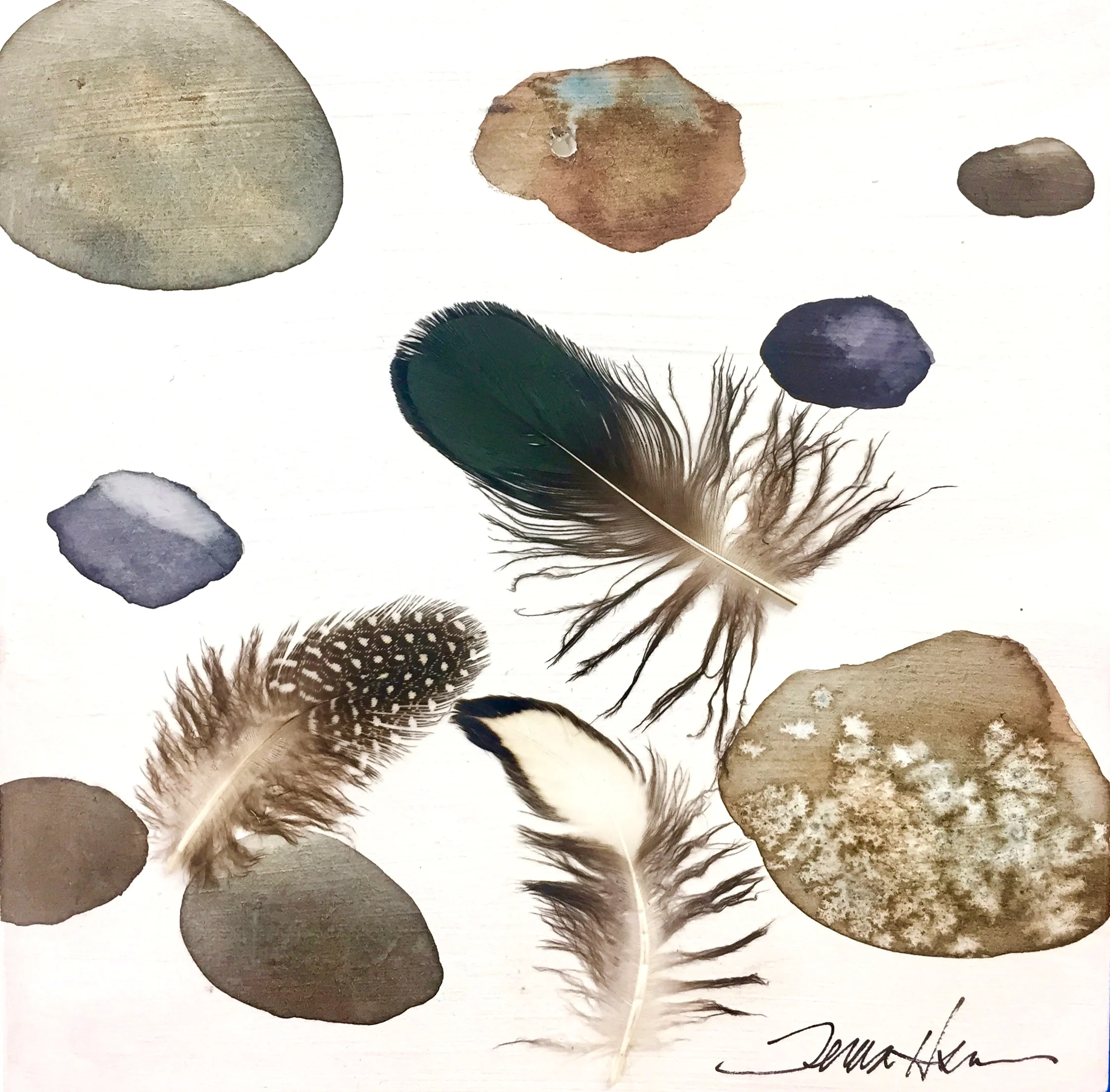 Rocks and Feathers
