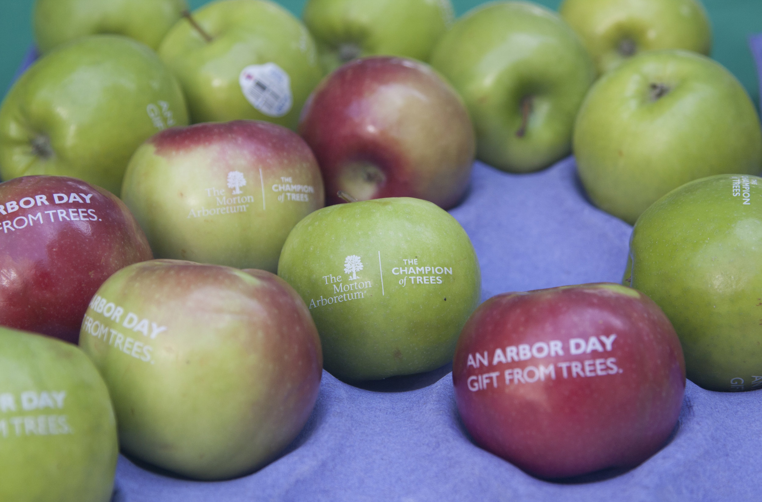 2017ArborDay_002.jpg