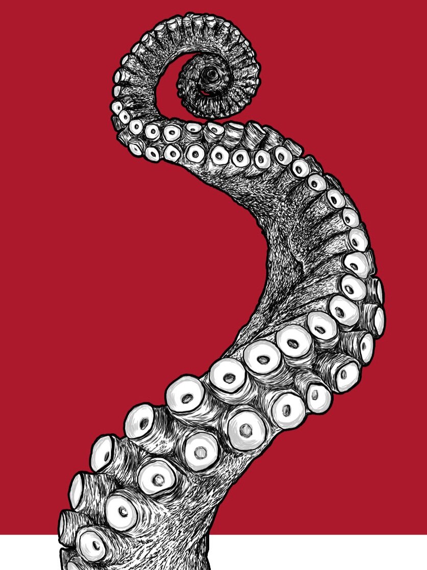 octopus2.jpg