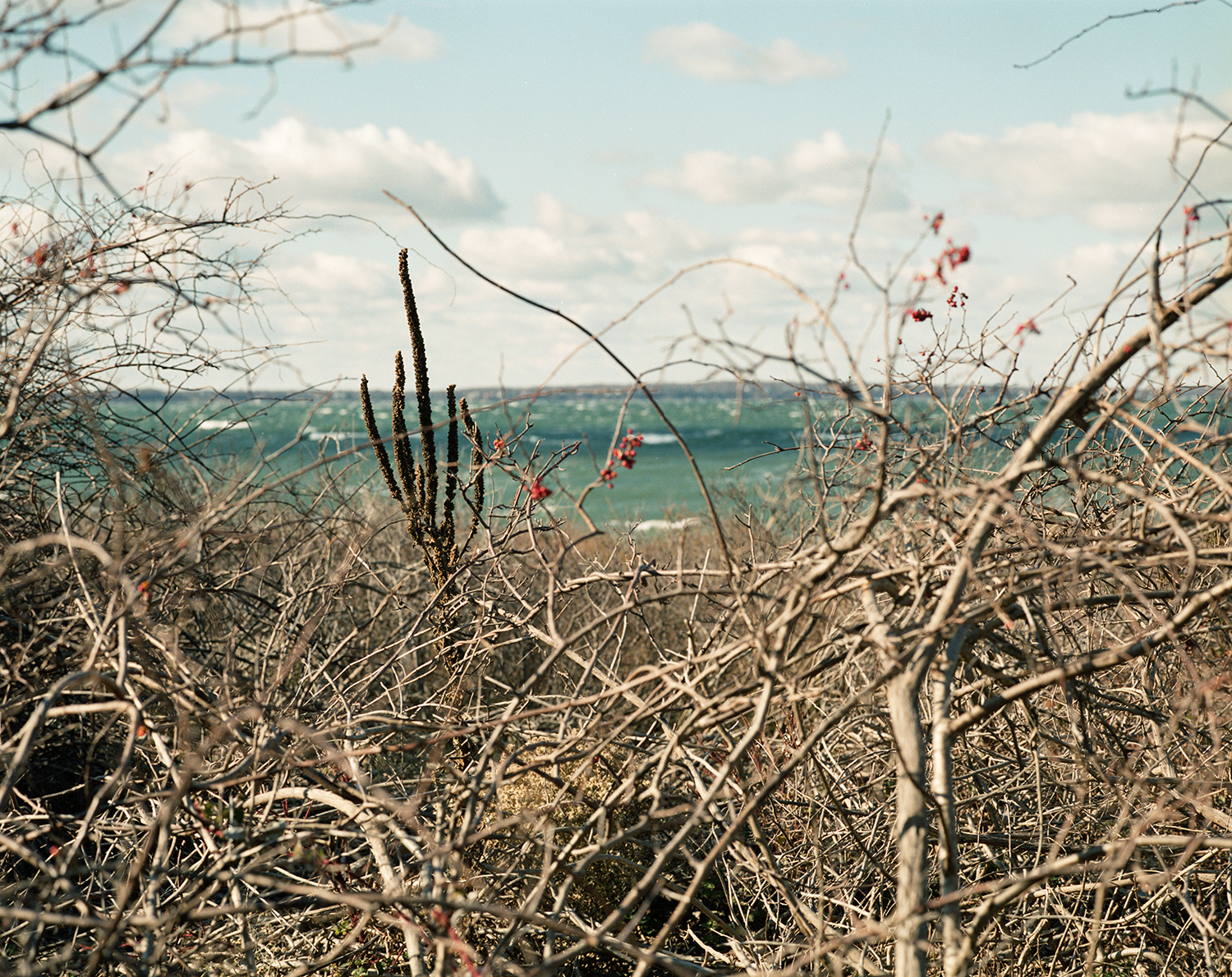 LITTLE PECONIC BAY, NY 2008