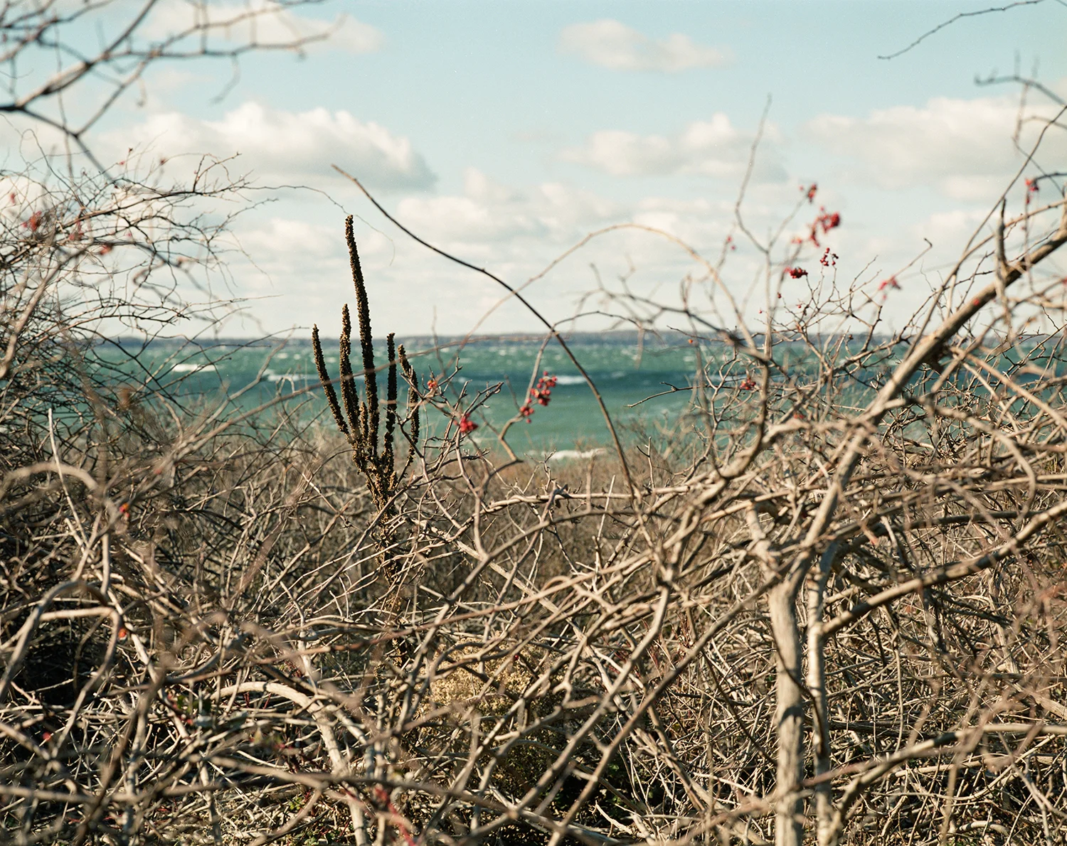 LITTLE PECONIC BAY, NY 2008