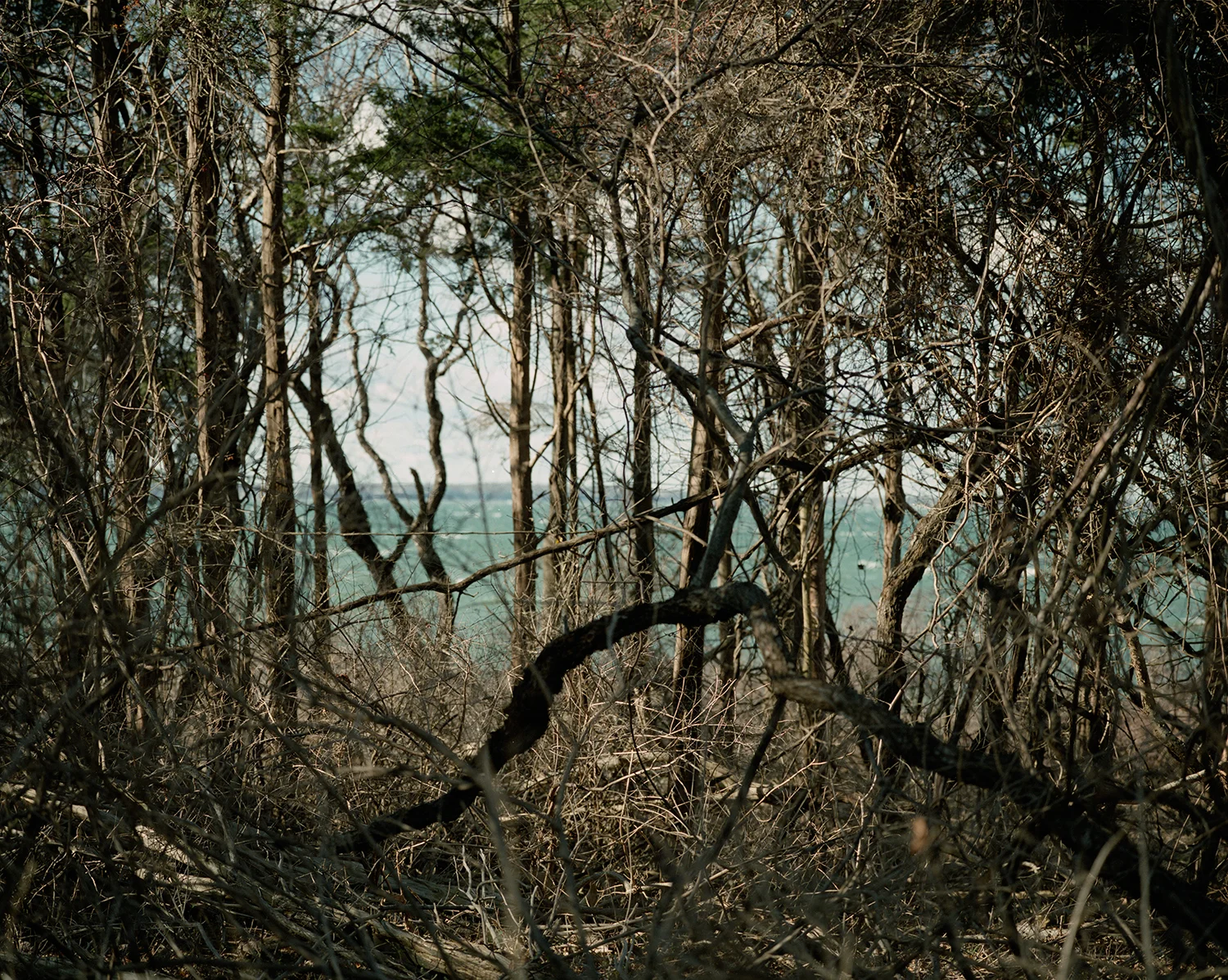 LITTLE PECONIC BAY, NY 2008