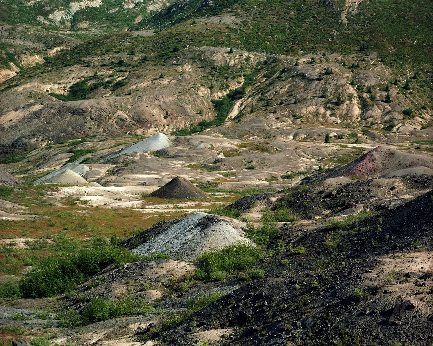 MT ST HELENS, WA 2009