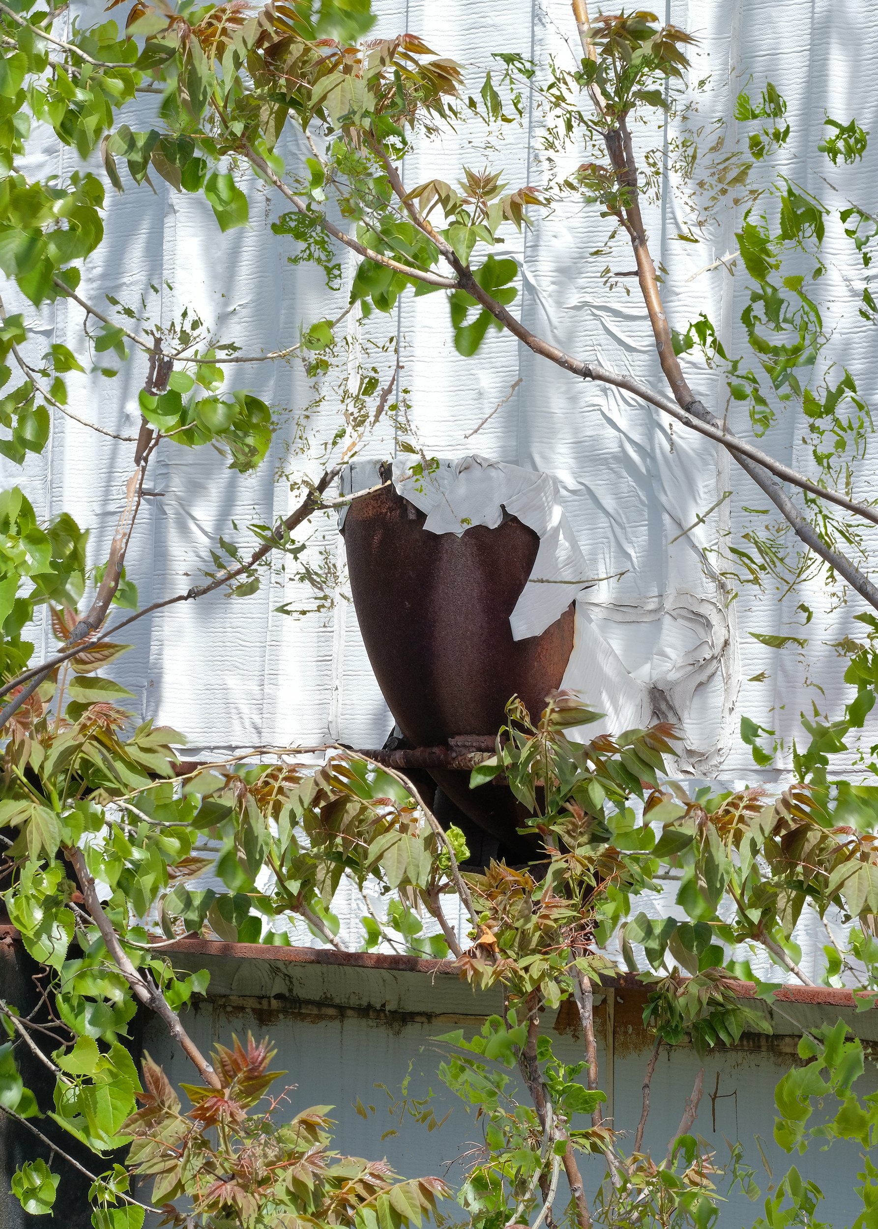 DSCF5361-INT_MOCL.jpg