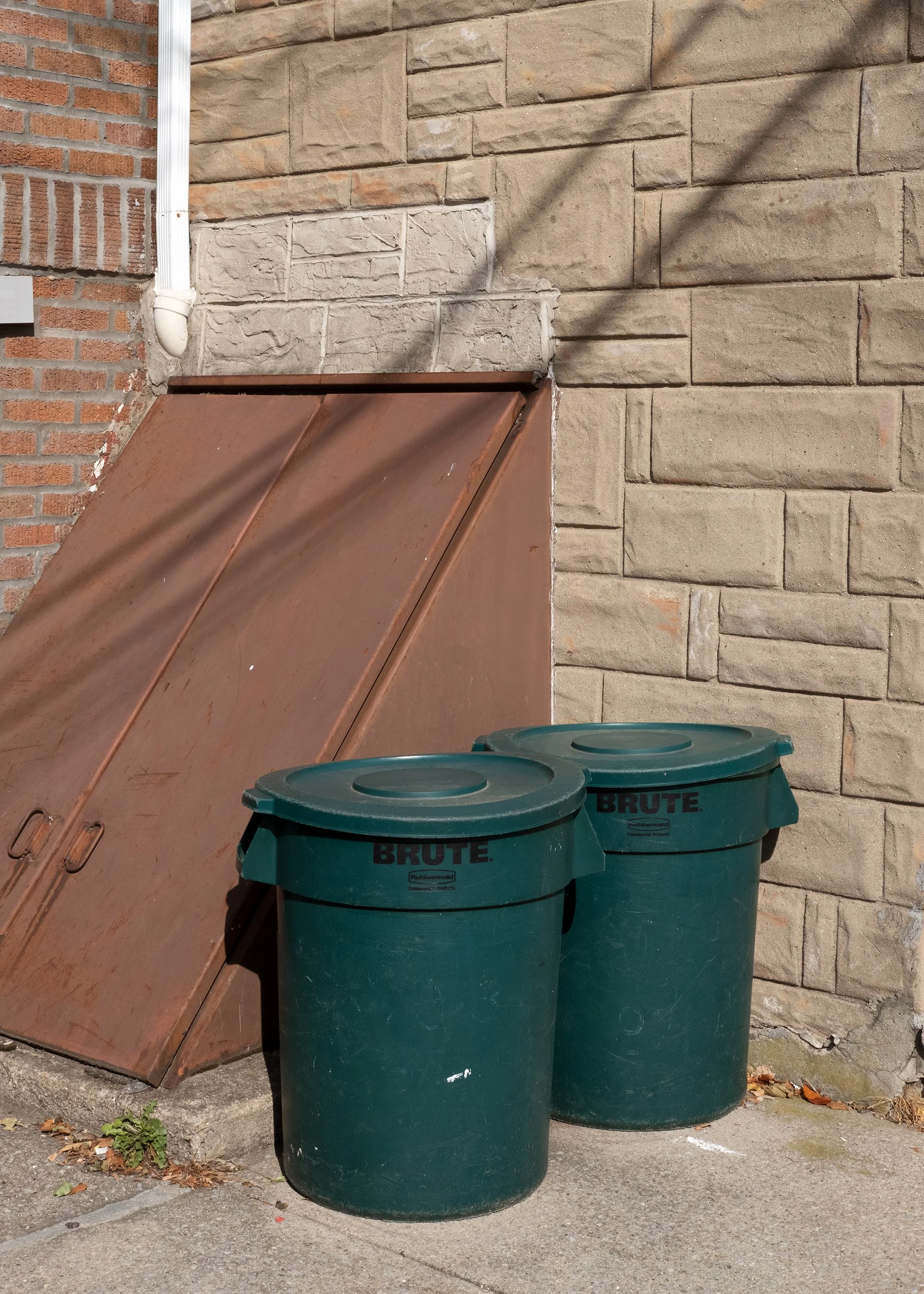 DSCF1407-MOCL.jpg