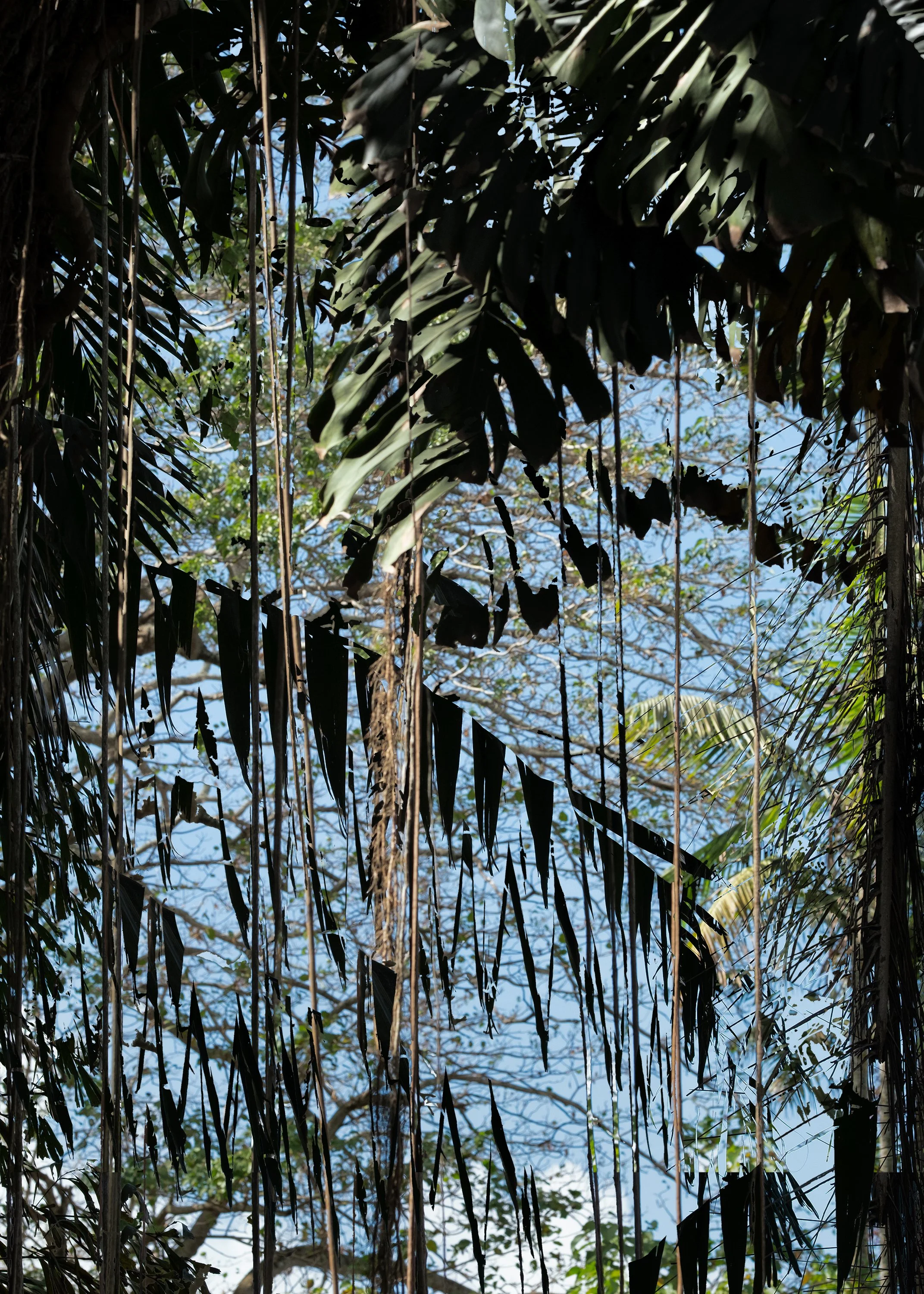 DSCF7709-MOCL.jpg
