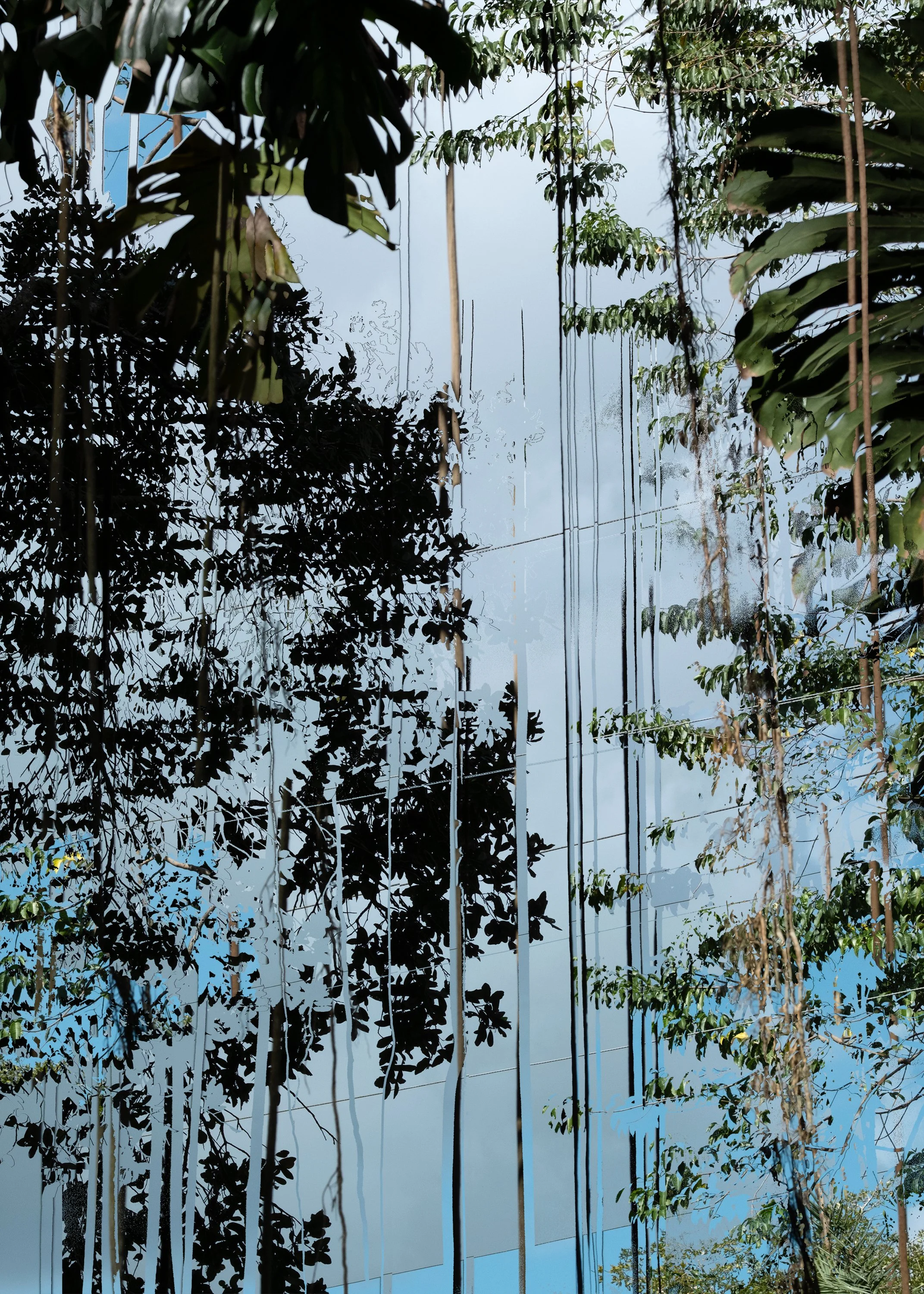 DSCF7712-MOCL.jpg