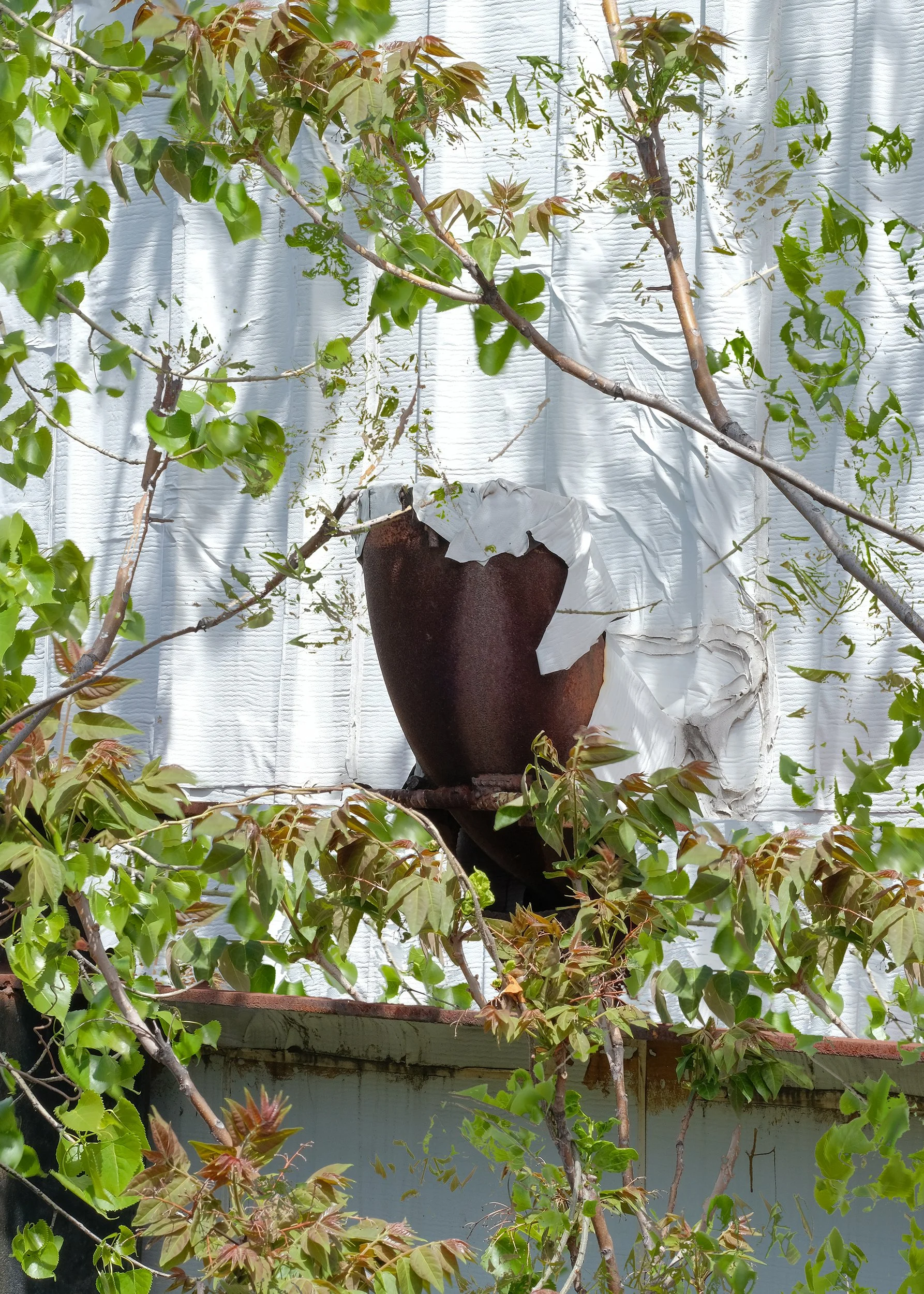 DSCF5361-INT_MOCL.jpg
