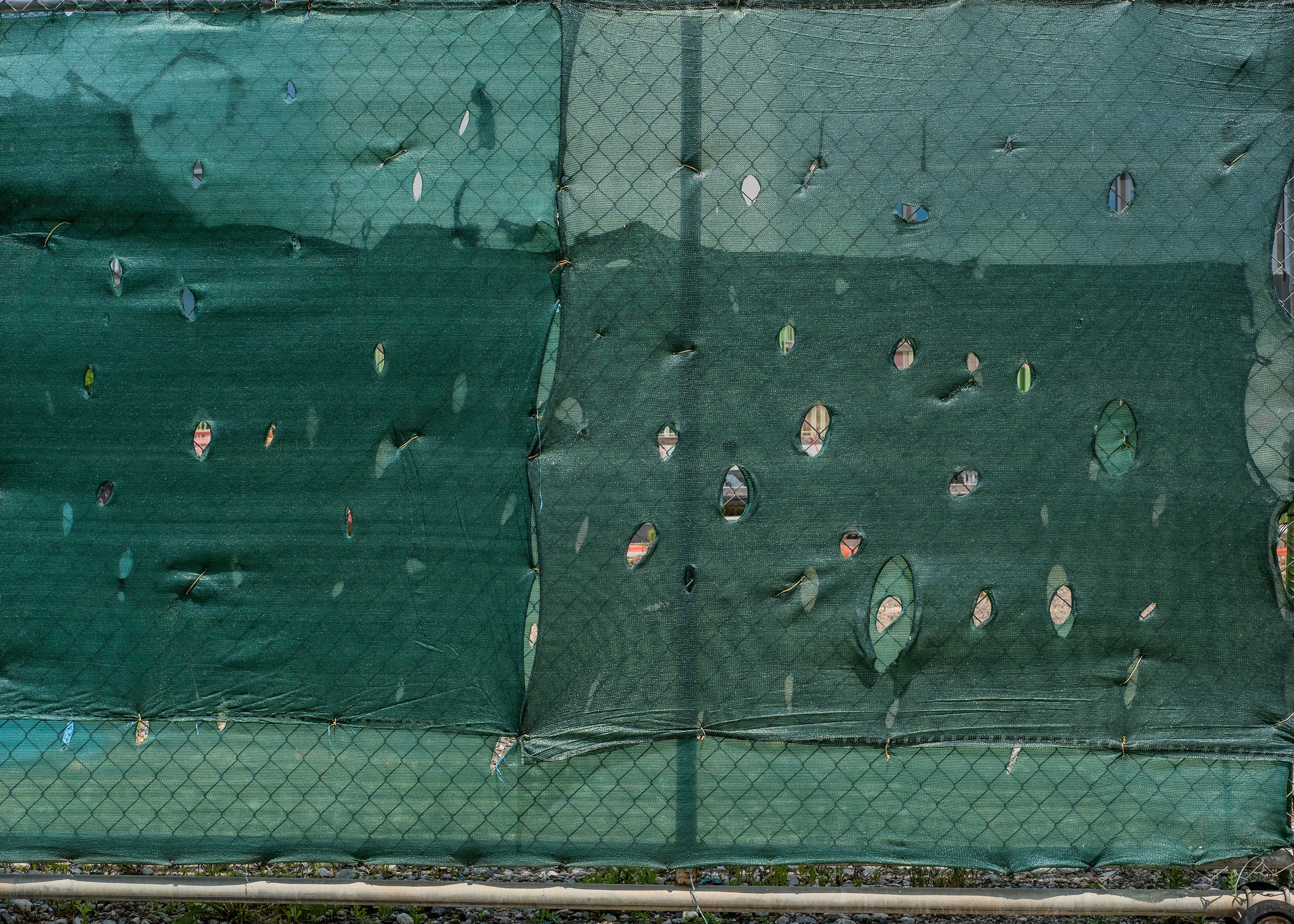 DSCF9660_MOCL.jpg