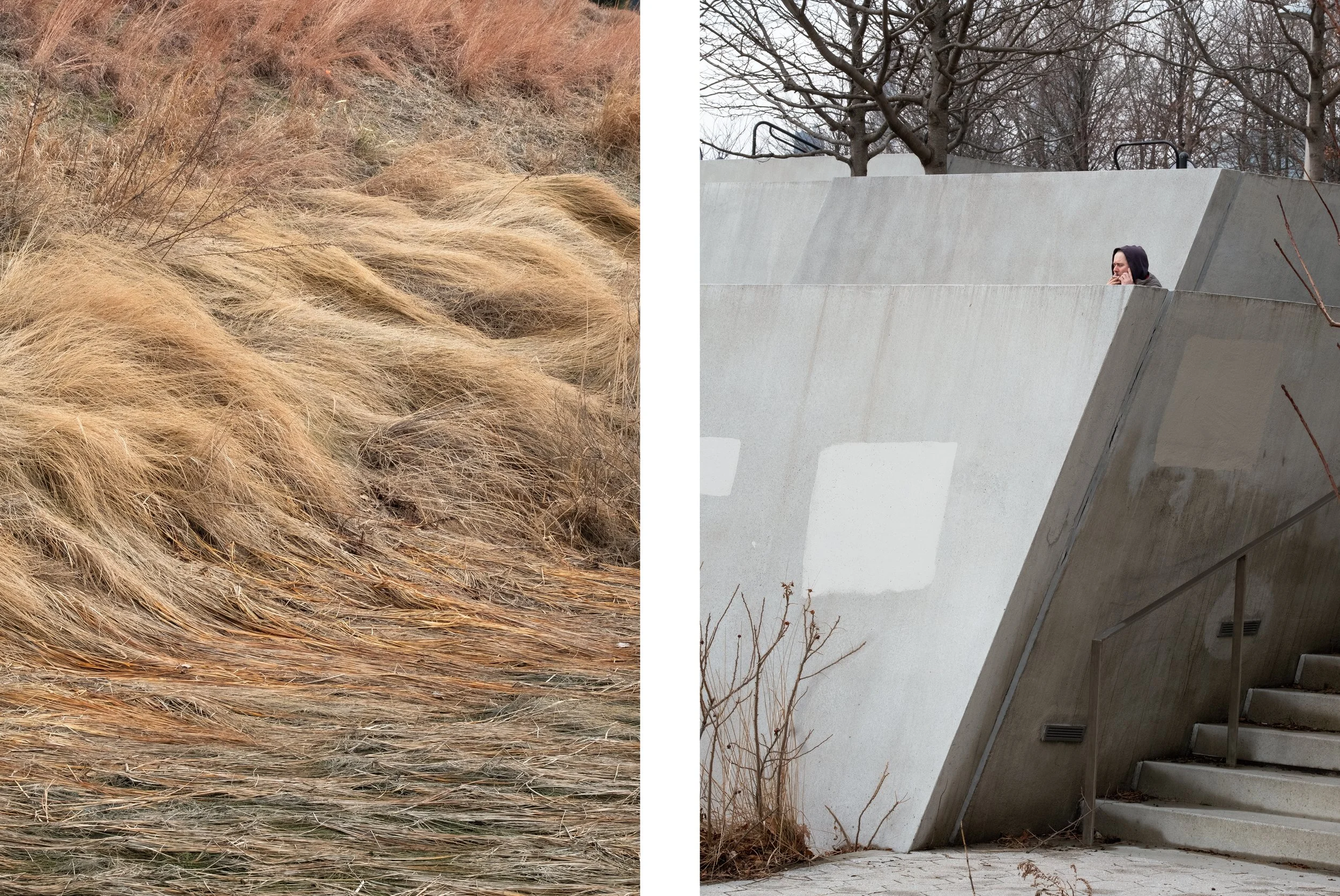 Diptych-hunter1.jpg