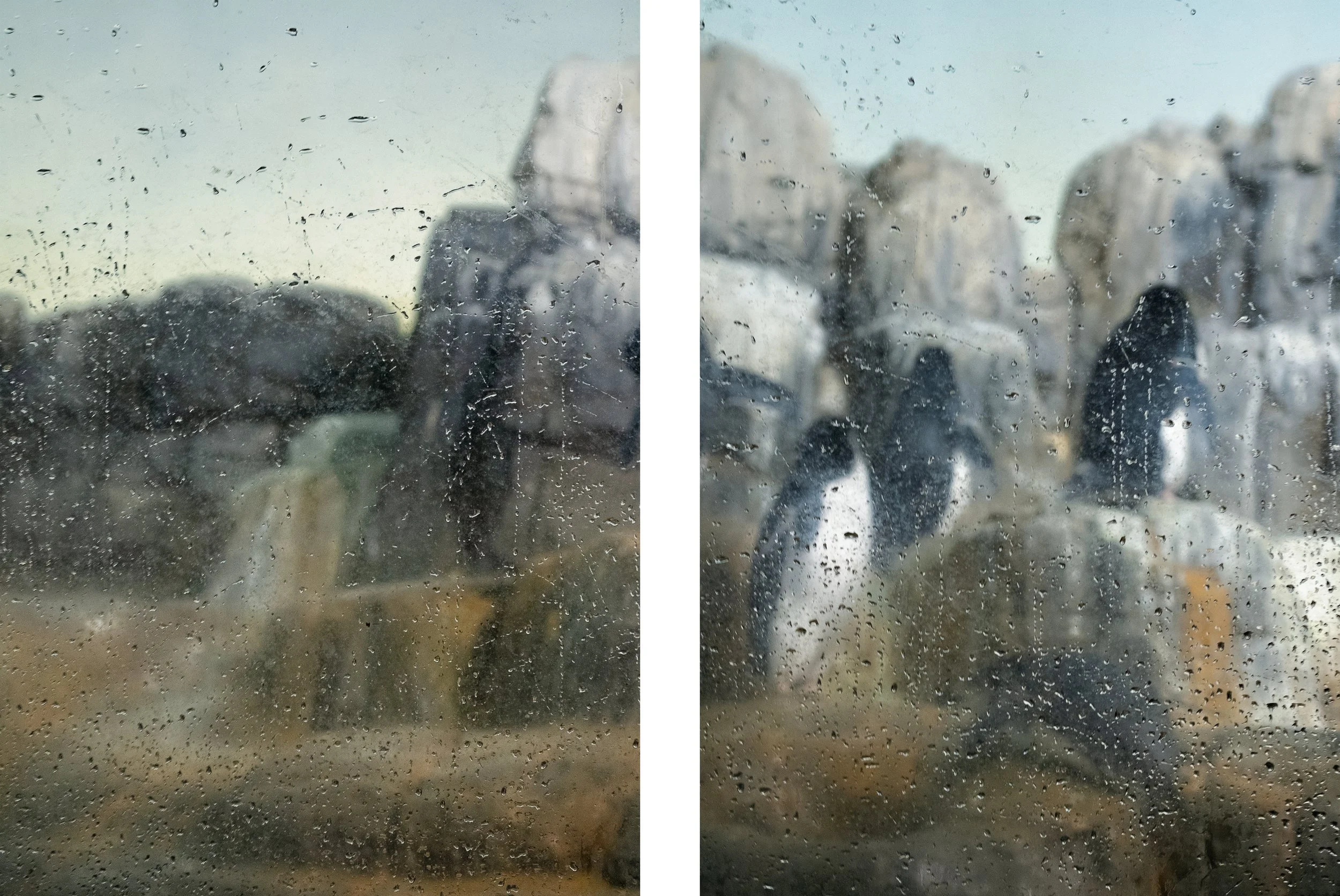 Diptych-Penguins-web.jpg
