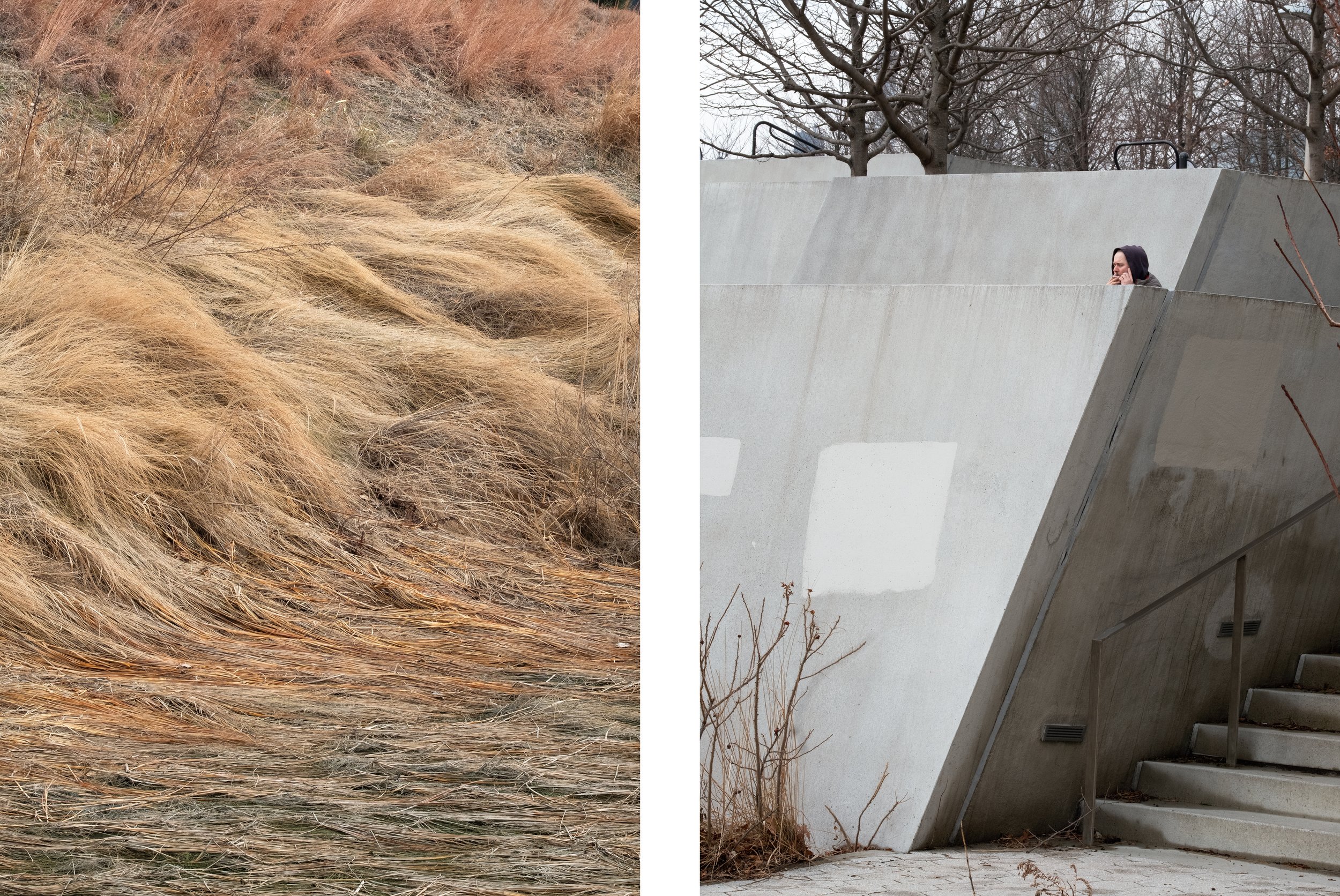 Diptych-hunter1.jpg