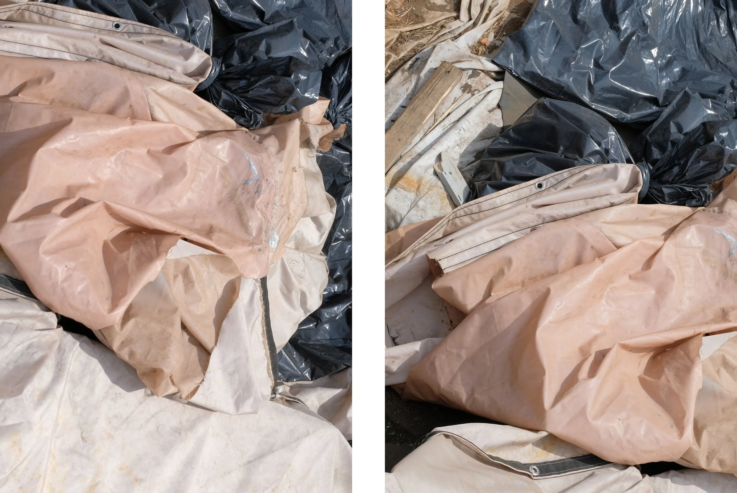 Diptych-tarp.jpg
