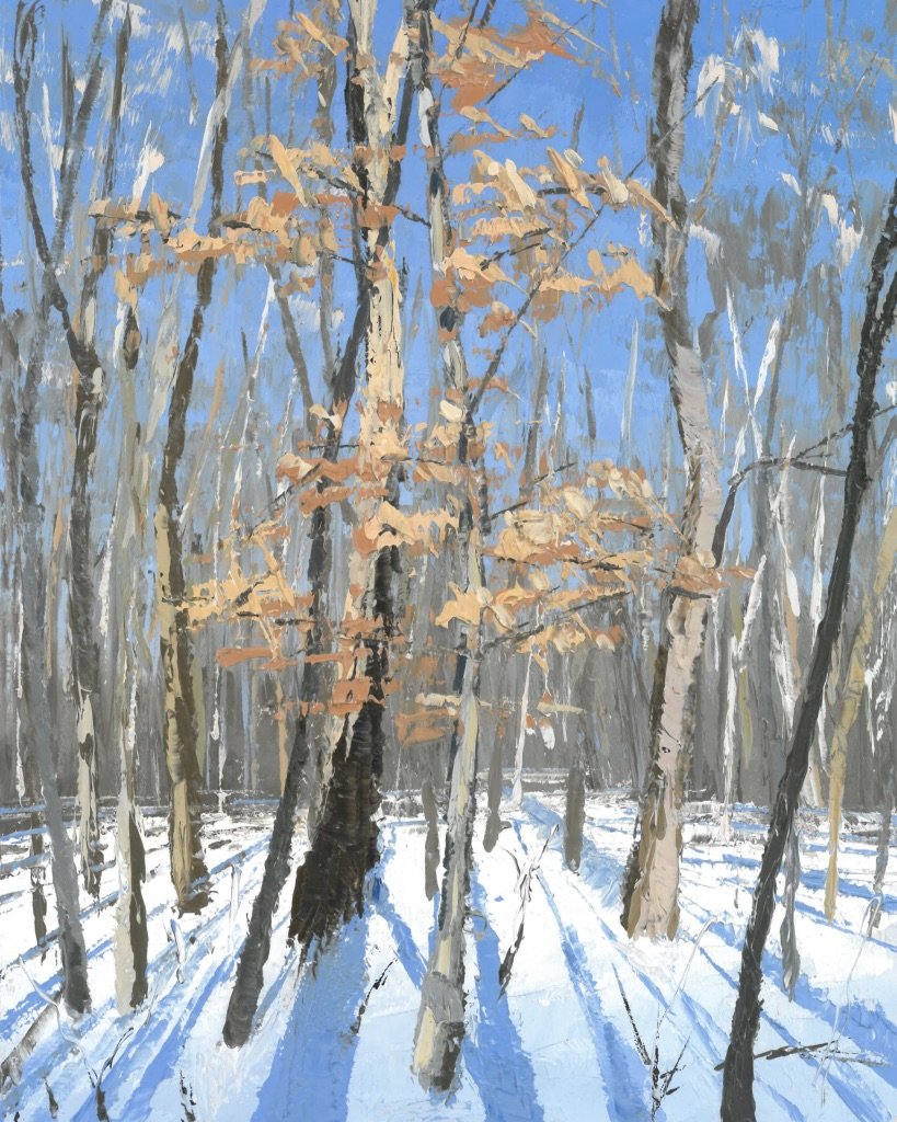 3f-Beth Stoddard-Winter Beech-oil on panel-10x8 inches.jpeg