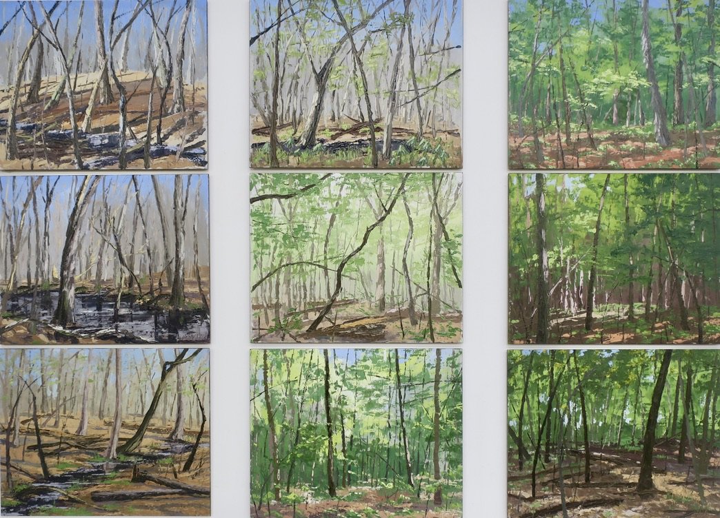3h-Beth Stoddard-Woodland Thaw, Spring, Summer-oil on panel-25x36 inches.jpeg