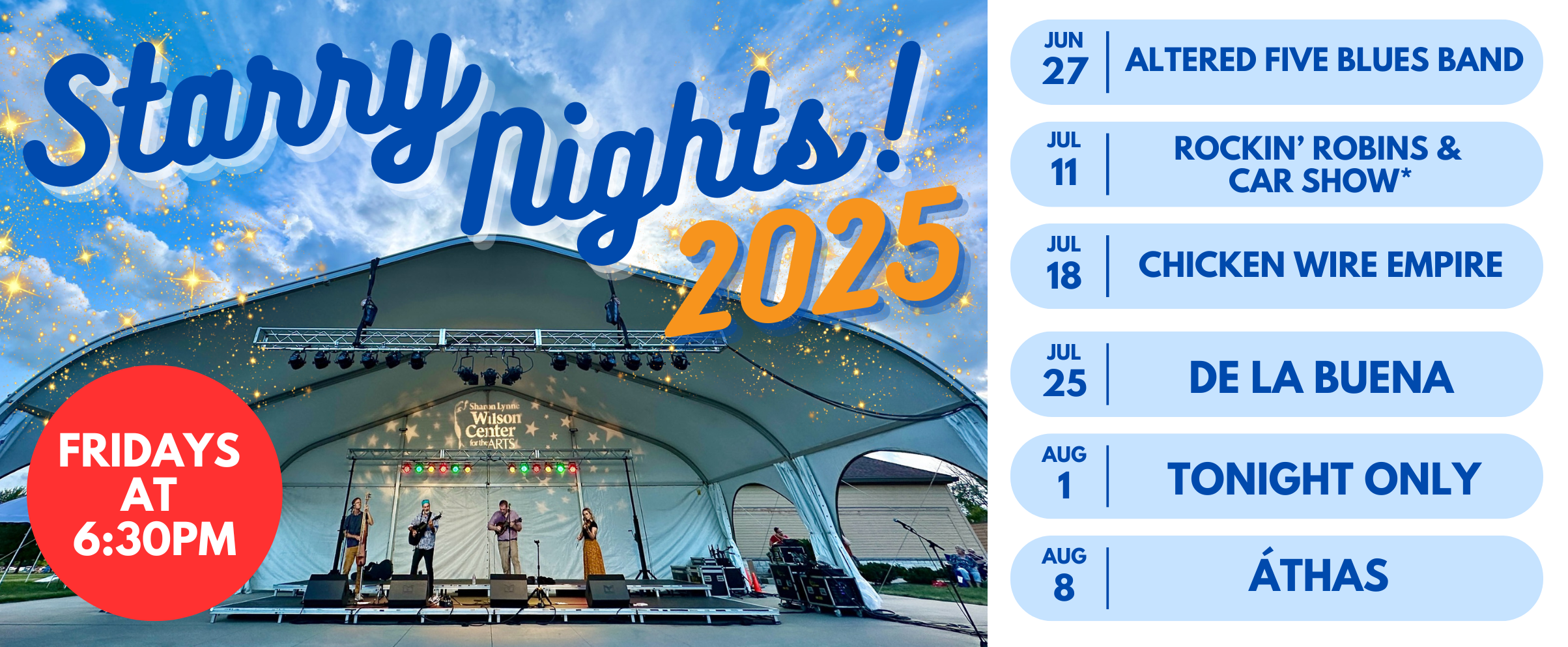 Home page banner - Starry Nights .png