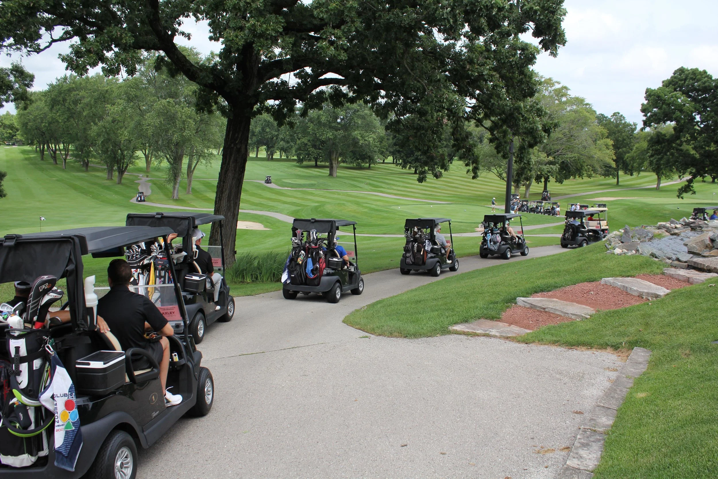 GC25-carts.jpg