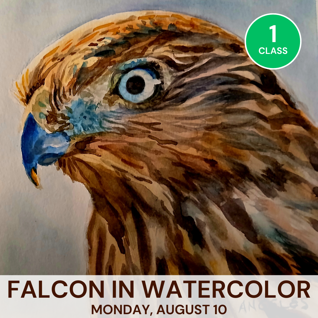 August: Falcon in Watercolor
