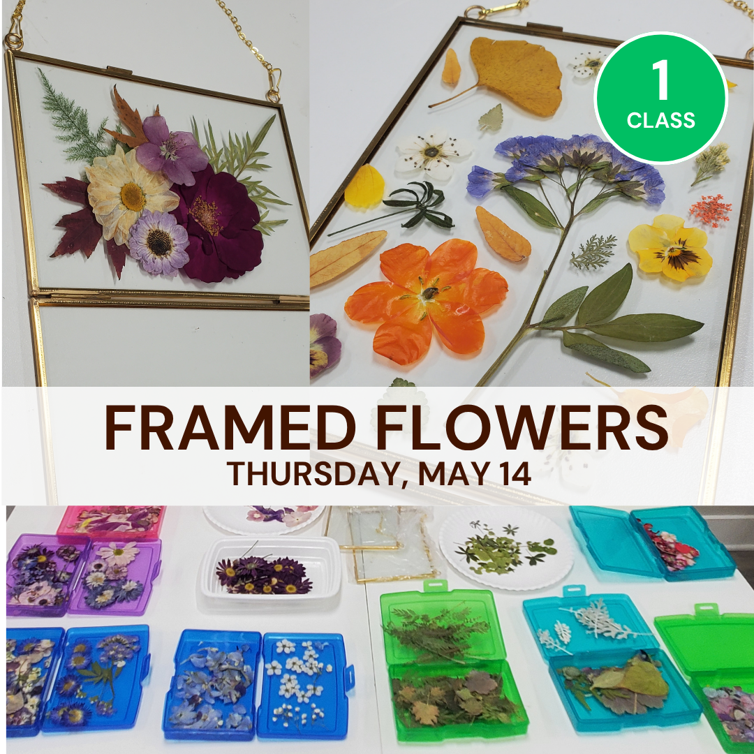 Beautiful Framed Flowers