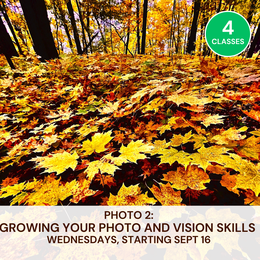 Photo 2: Growing Your Photo Vision & Skills