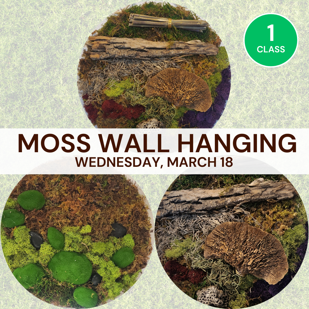 March: Moss Wall Hanging