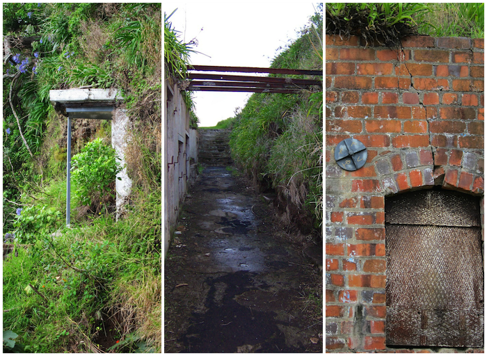 North Head New Zealand After People Collage.gif