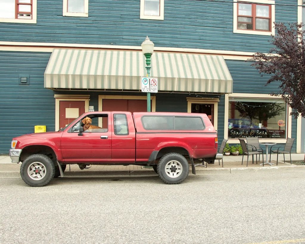 Sangha Bean Revelstoke BC www.glutenfreetravelette.com