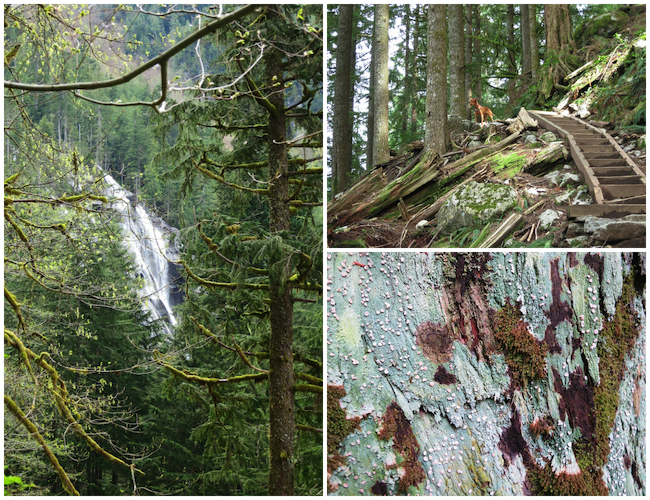 Hike to Lake Serene 