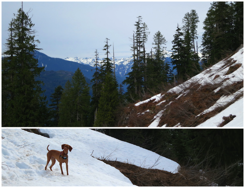 Hike to Lake Serene 