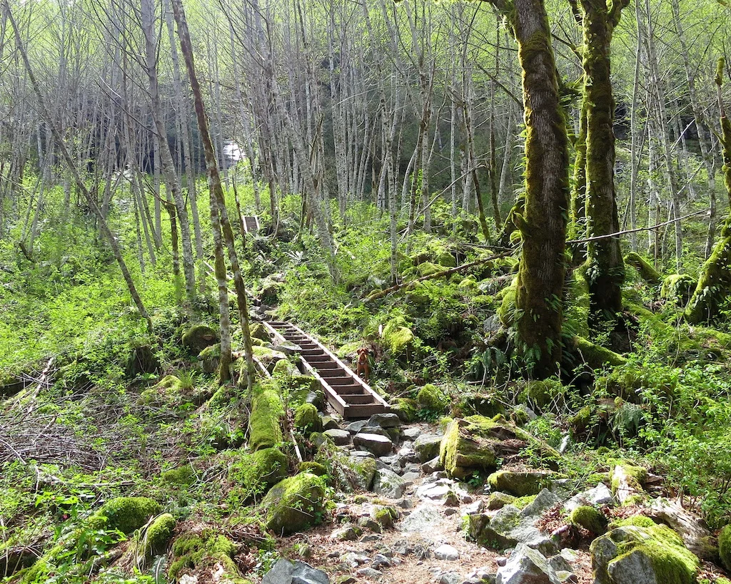 Hike to Lake Serene