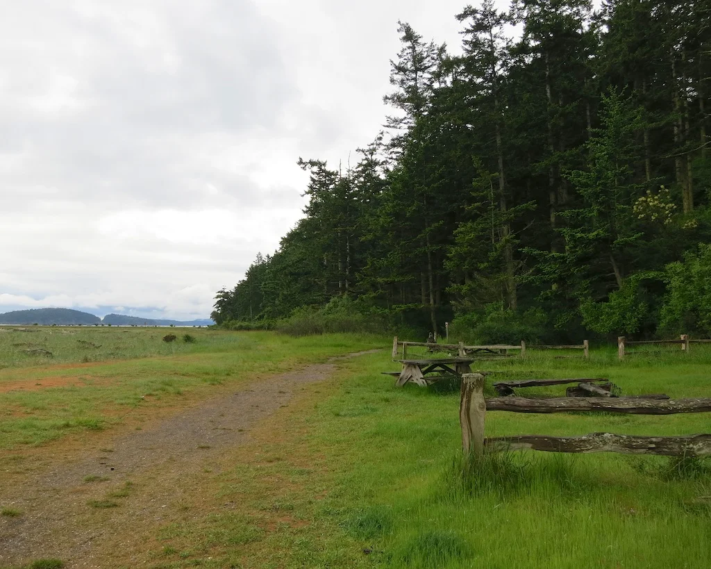 Camp Here: Spencer Spit State Park on Lopez Island 