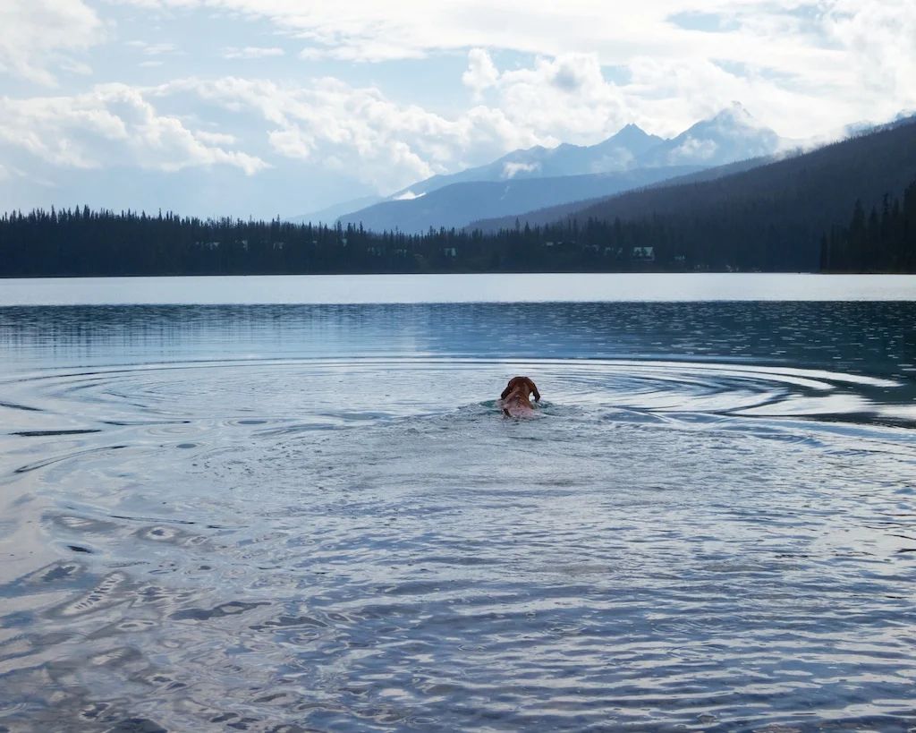 Emerald Lake Yoho National Park