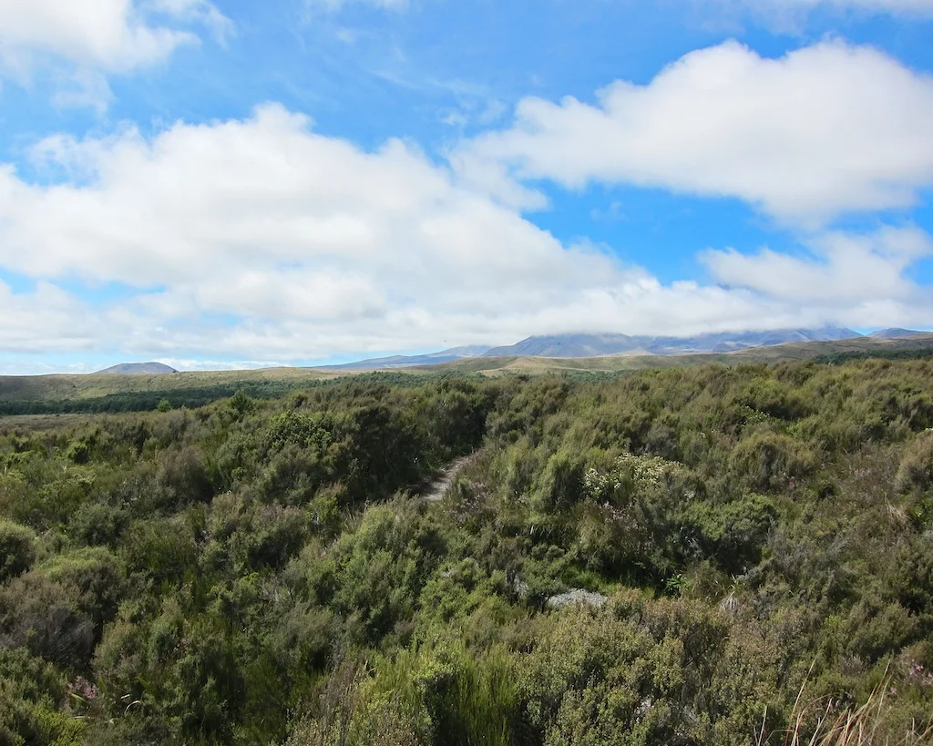 Taranaki Falls Hike Tongariro National Park