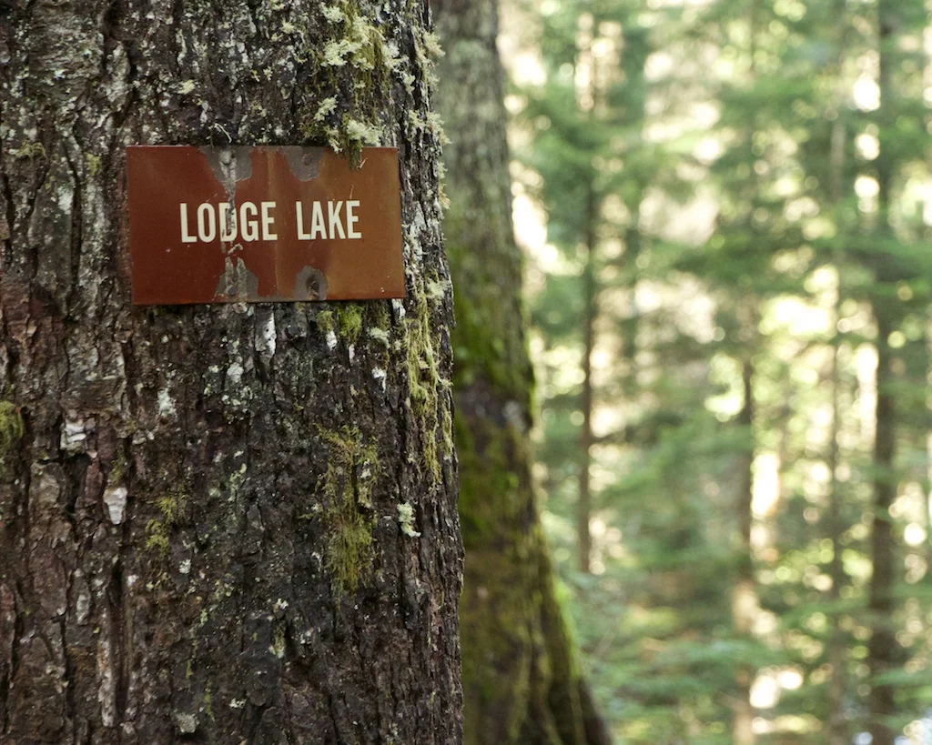 Trappings: Fall Hike to Lodge Lake in Washington's Cascades Credit: Fugue Photo
